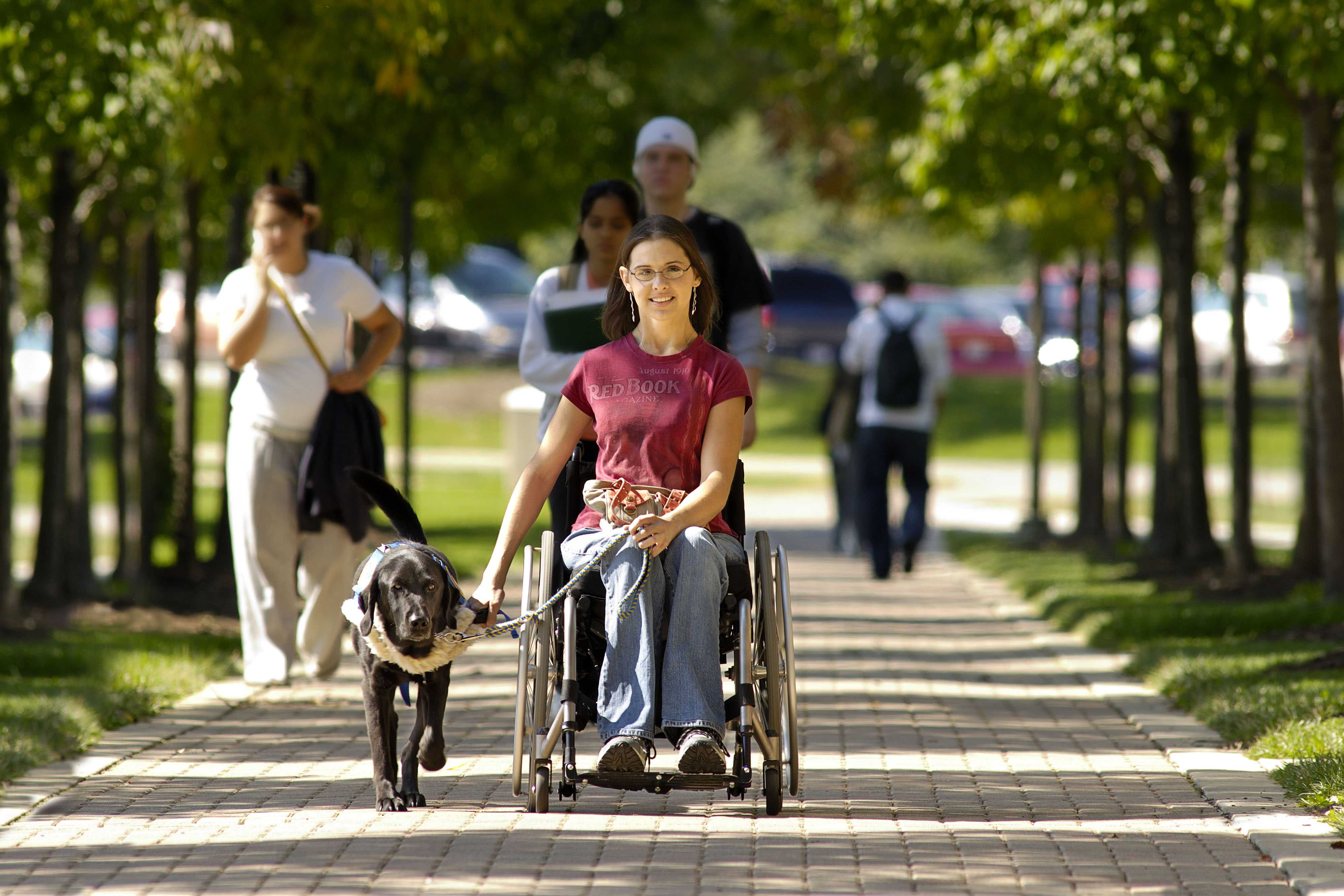 Как живут инвалиды-колясочники в Канаде