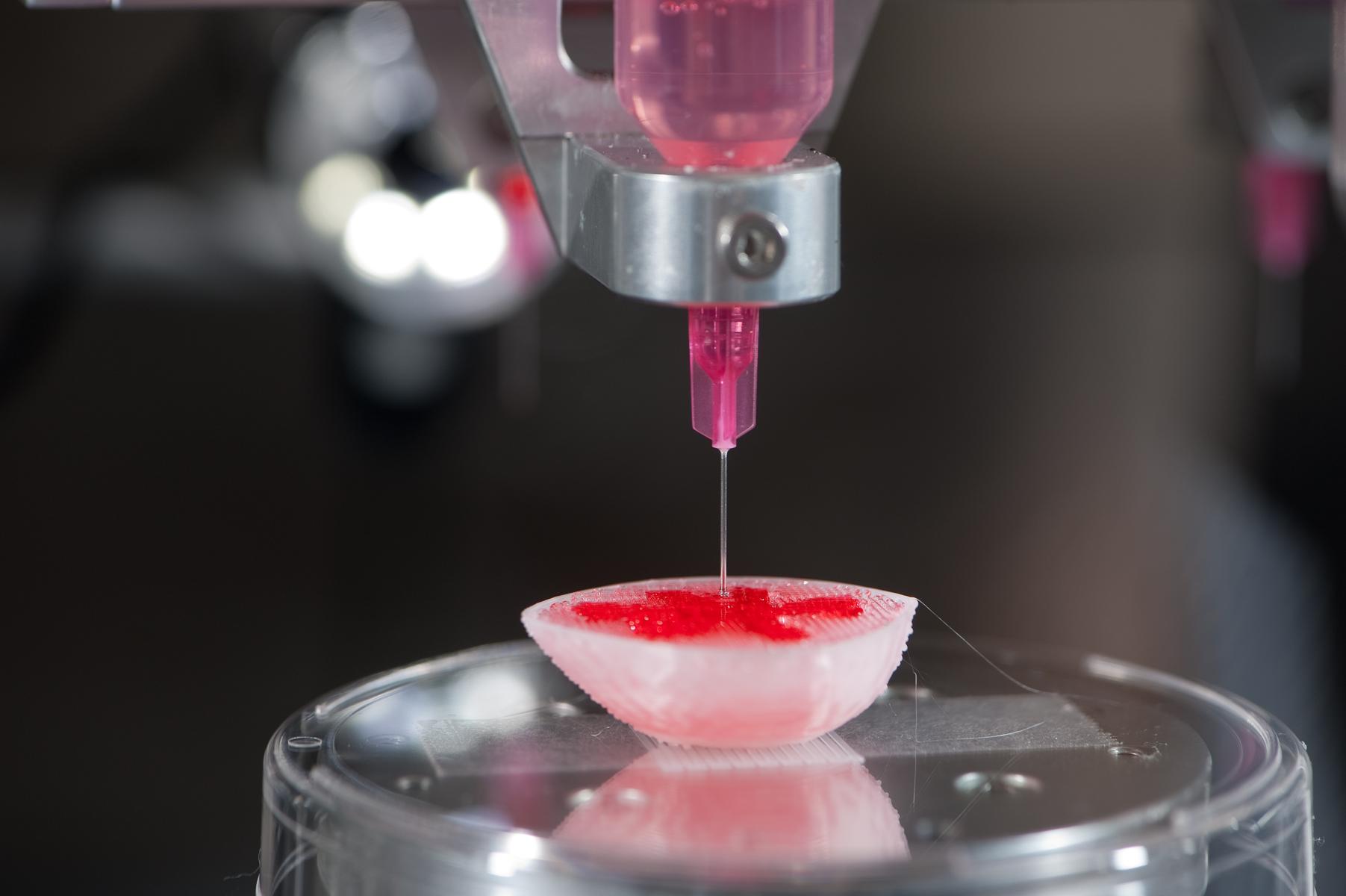 3D-печать органов: революция в медицине?