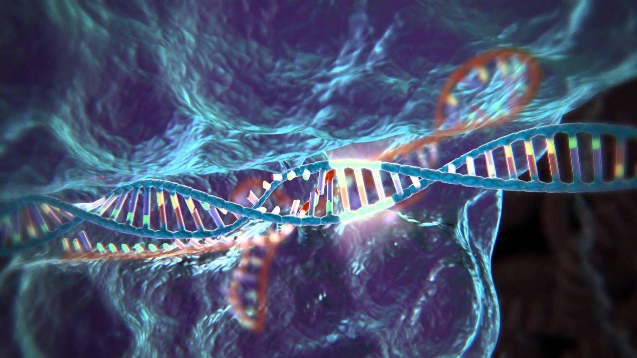 Генетически модифицированные клетки впервые были введены в организм человека