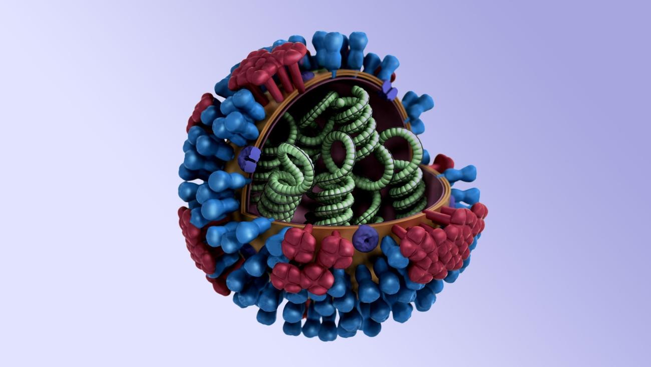 почему ежегодная эпидемия гриппа неизбежна