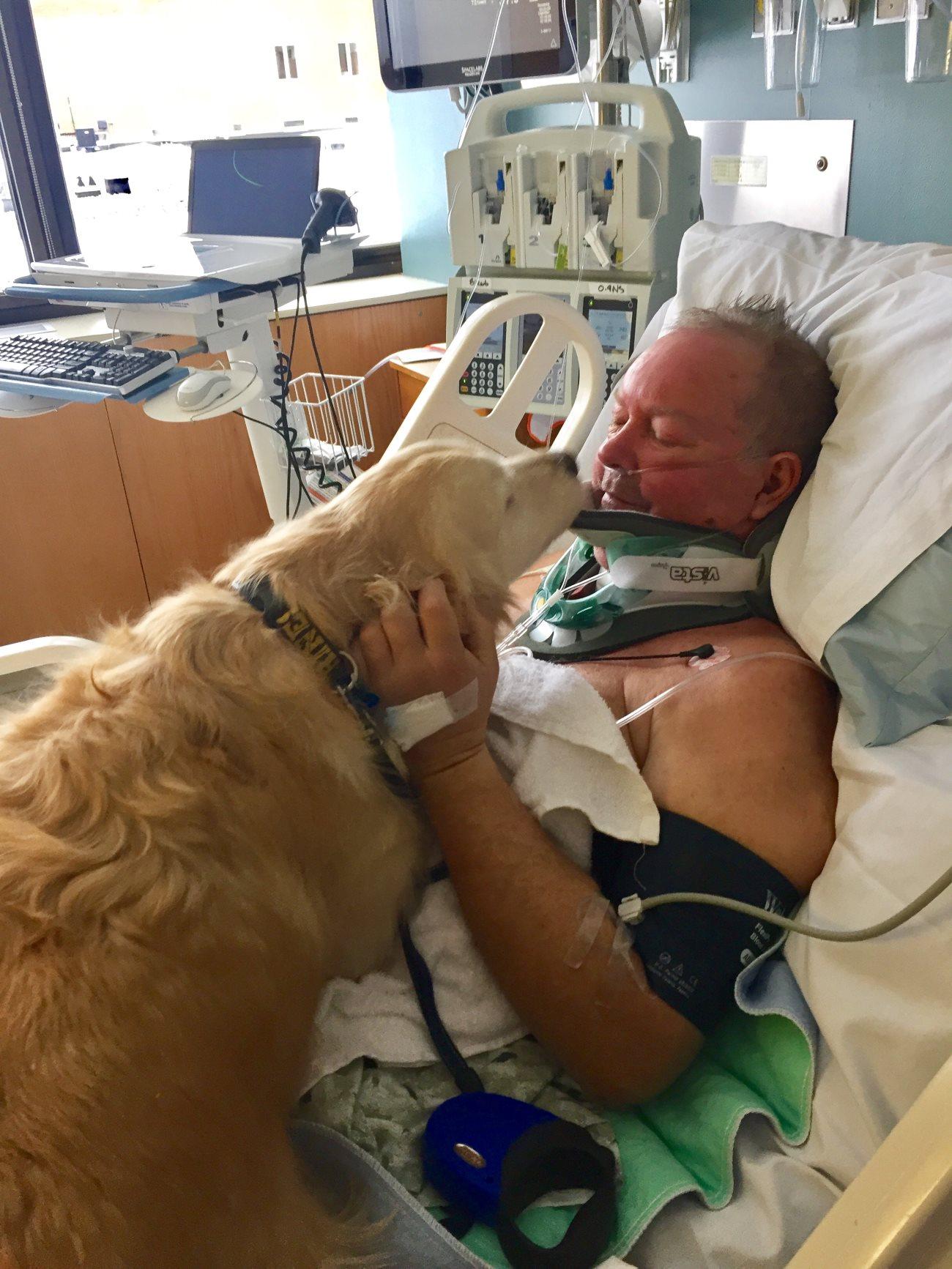 Собака спасла жизнь парализованному хозяину, не дав ему замерзнуть в снегу