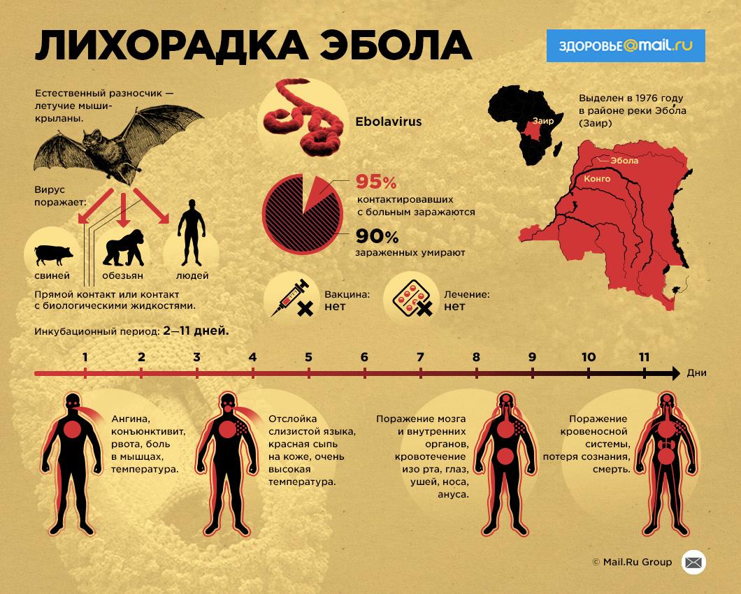 7 самых смертоносных инфекций в истории человечества