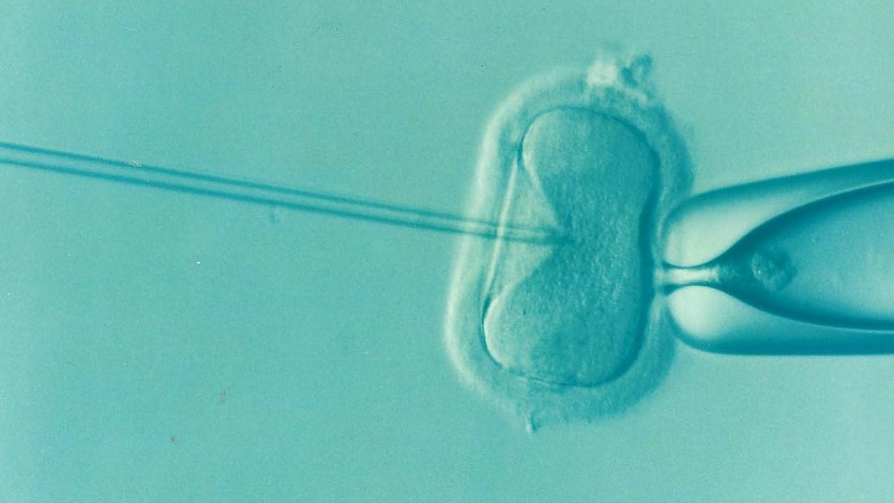 Имплантация двух эмбрионов уменьшает шансы женщины забеременеть