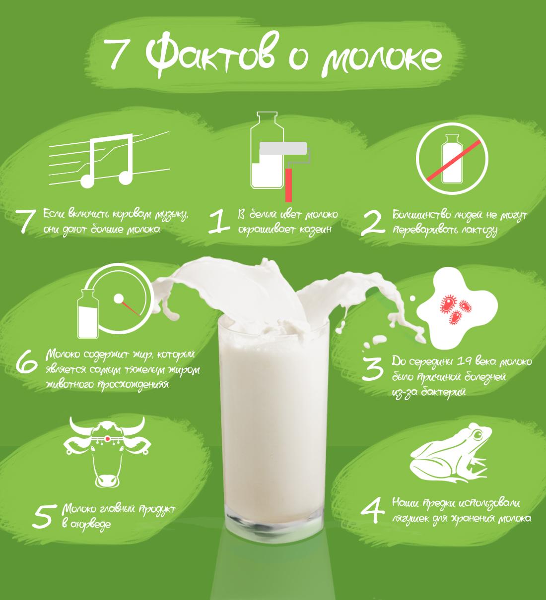 7 интересных фактов о молоке, которые нужно знать