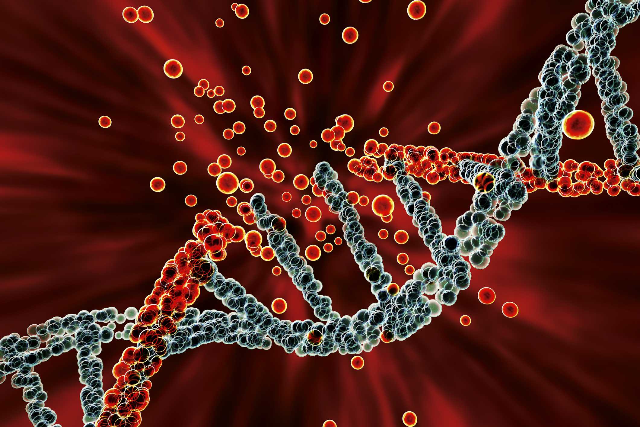 Проанализировано влияние наночастиц на человеческую ДНК