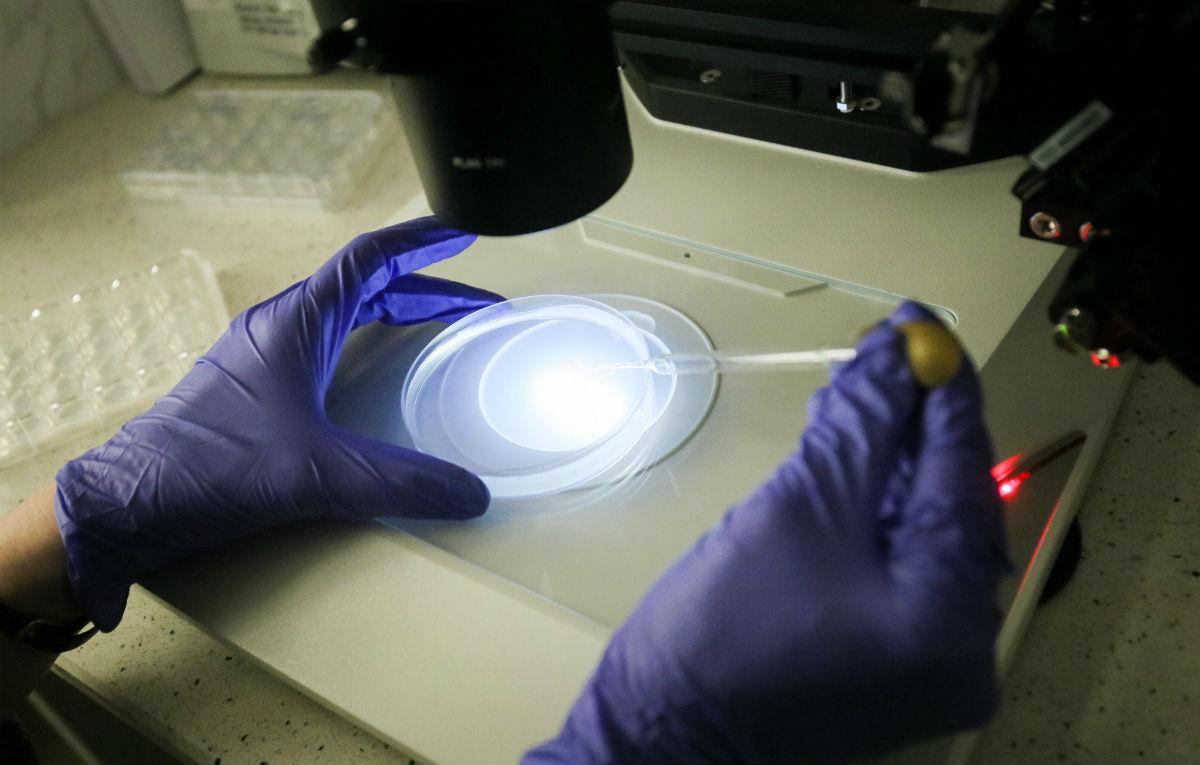 Метод CRISPR впервые испытали на жизнеспособных человеческих эмбрионах