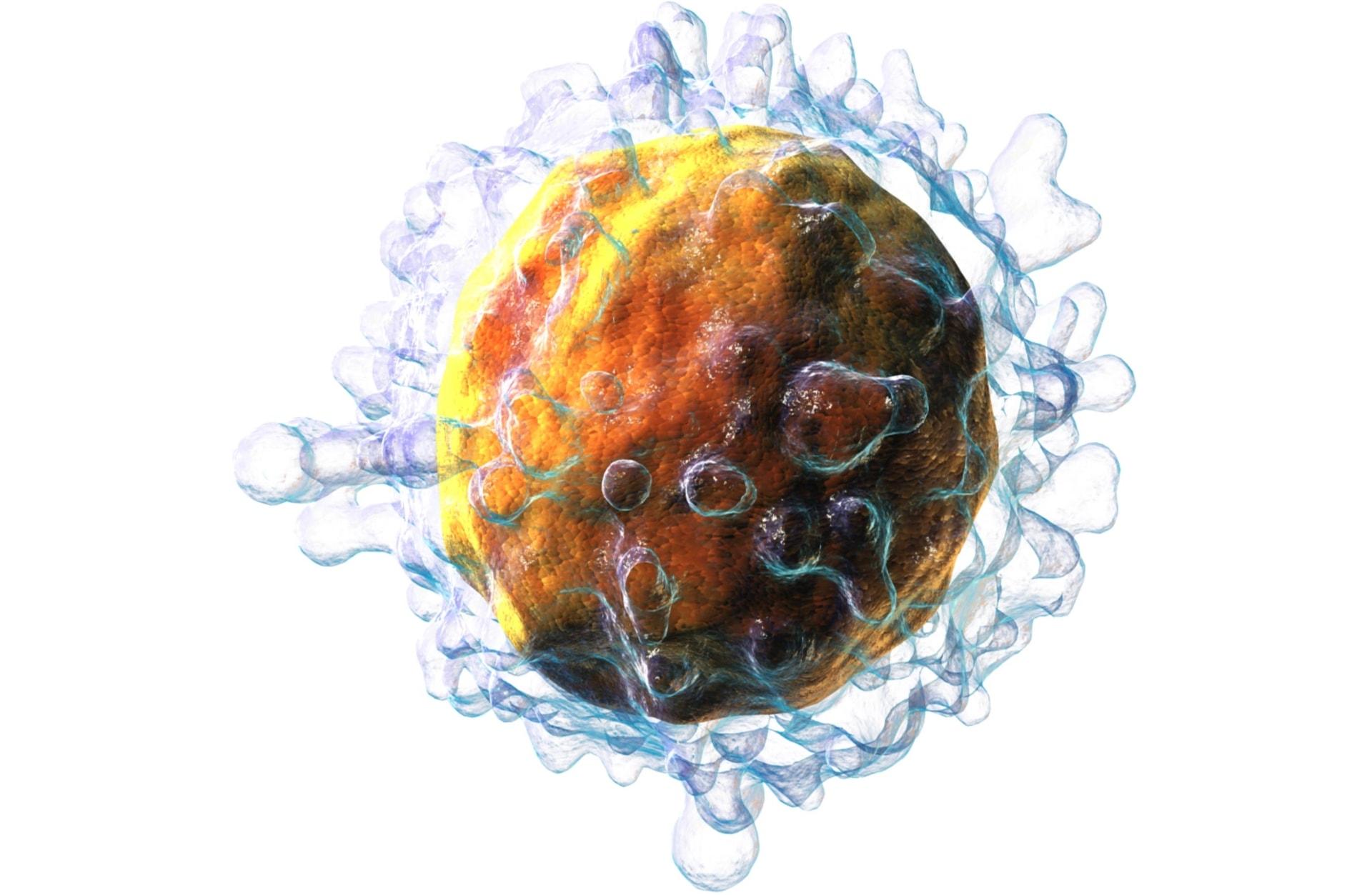 Кишечный иммунитет управляет обменом веществ