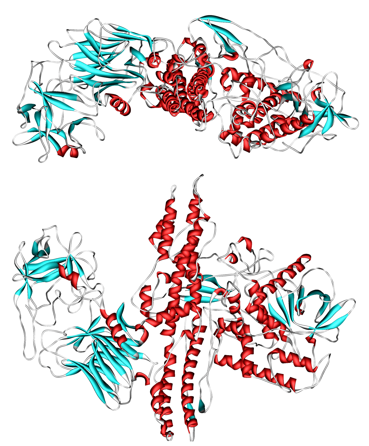 Нейромолекулы: ботулотоксин или яд, который дарит красоту
