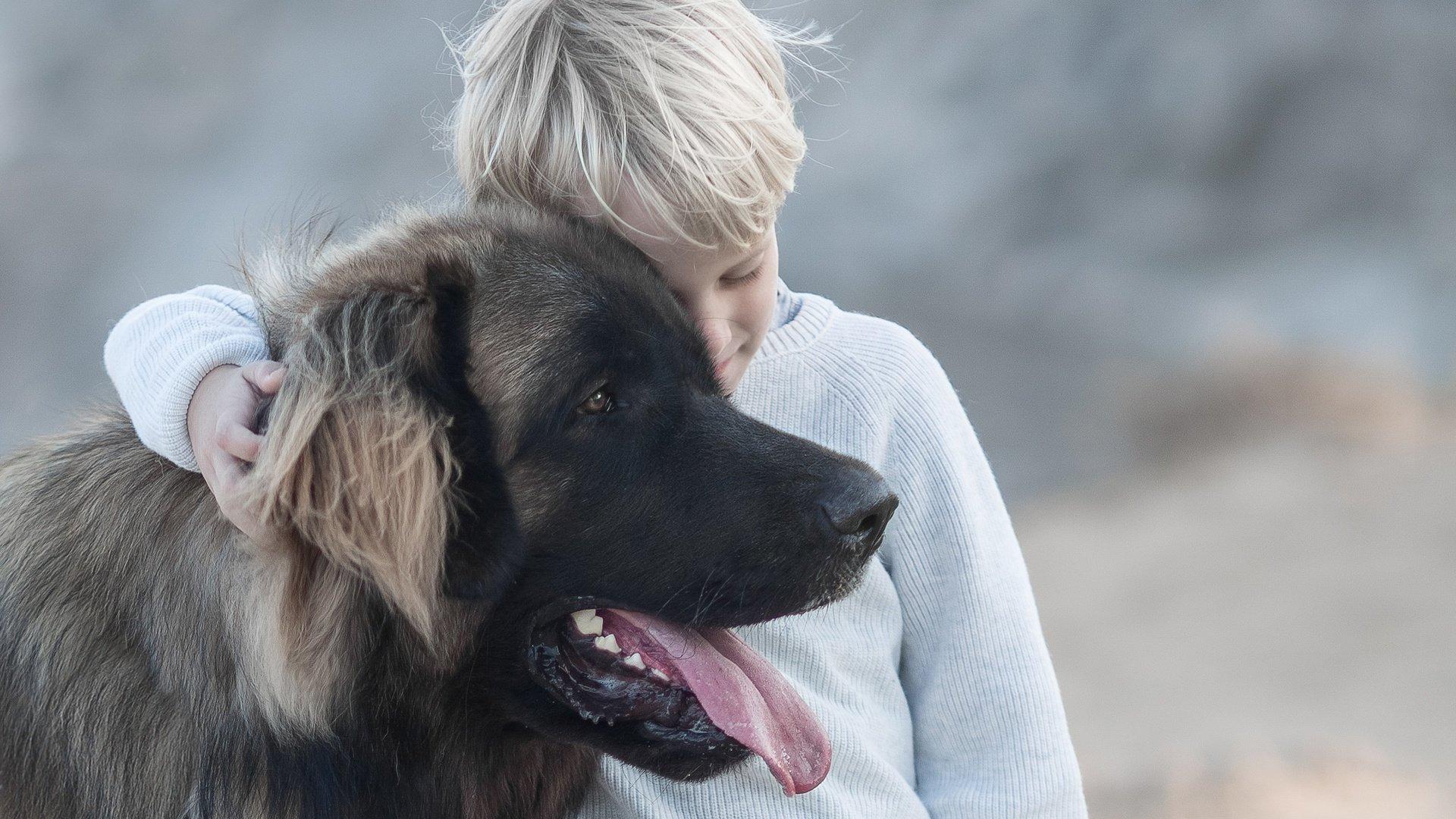 Собаки помогают детям справиться со стрессом лучше, чем родители