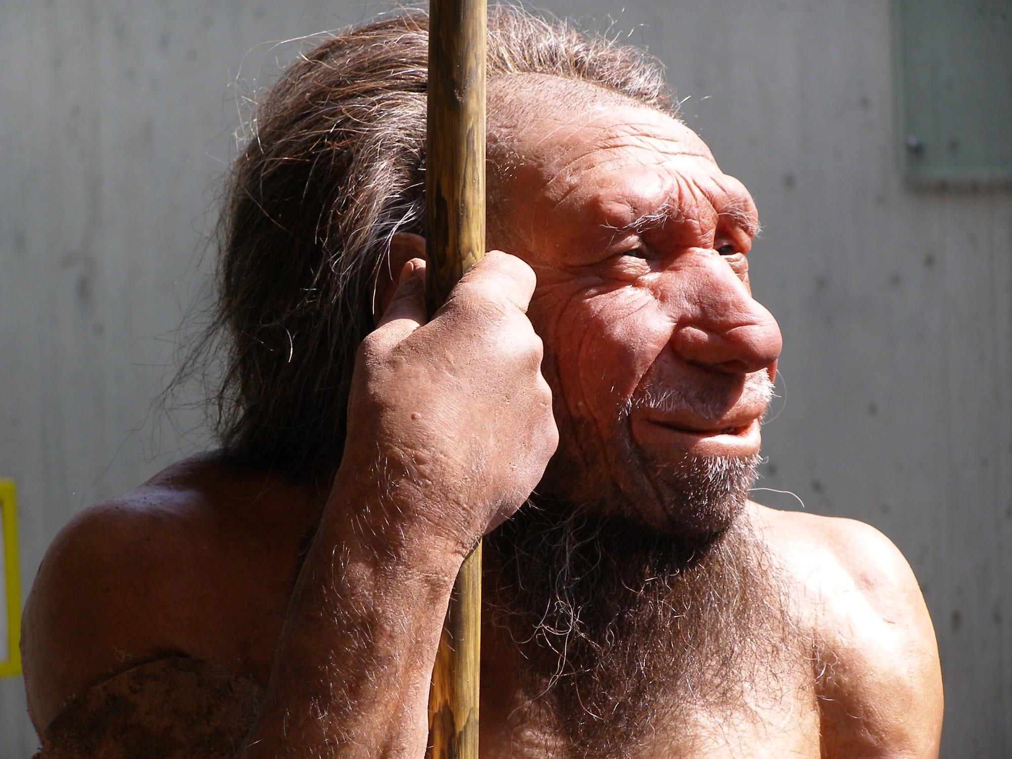 Вирусы неандертальцев обнаружены в ДНК современных людей