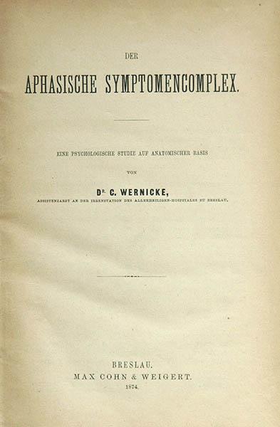 Carl Wernicke - Der aphasische Symptomenkomplex Карл Вернике
