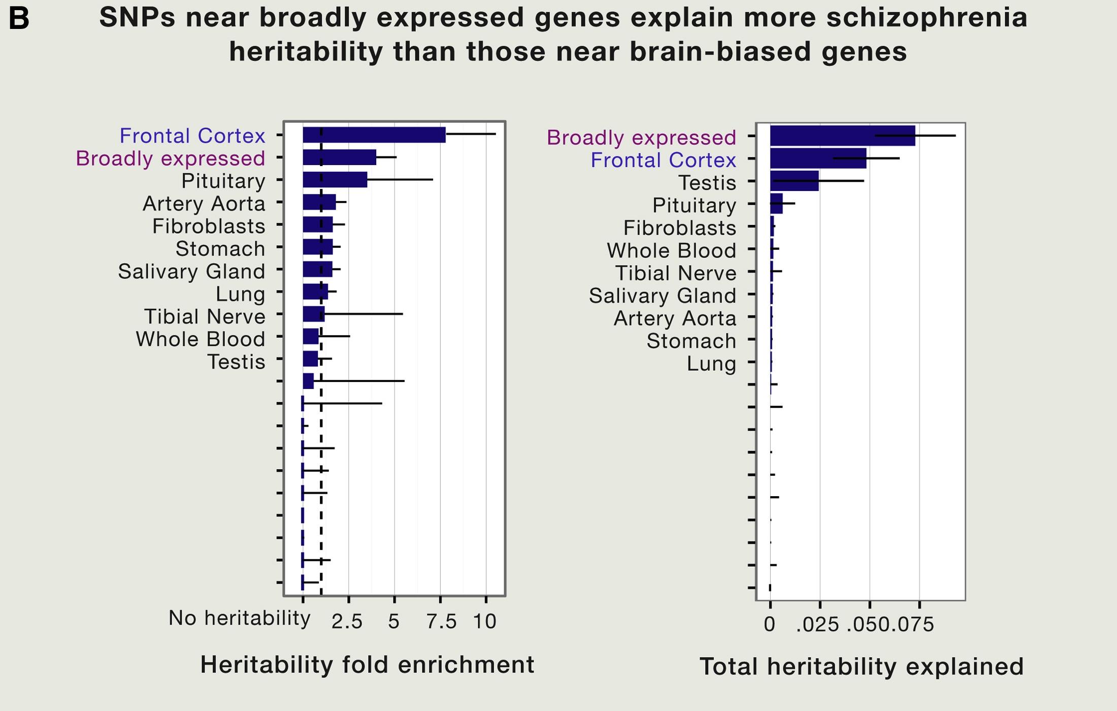 Биологи усомнились в пользе широкомасштабных генетических исследований