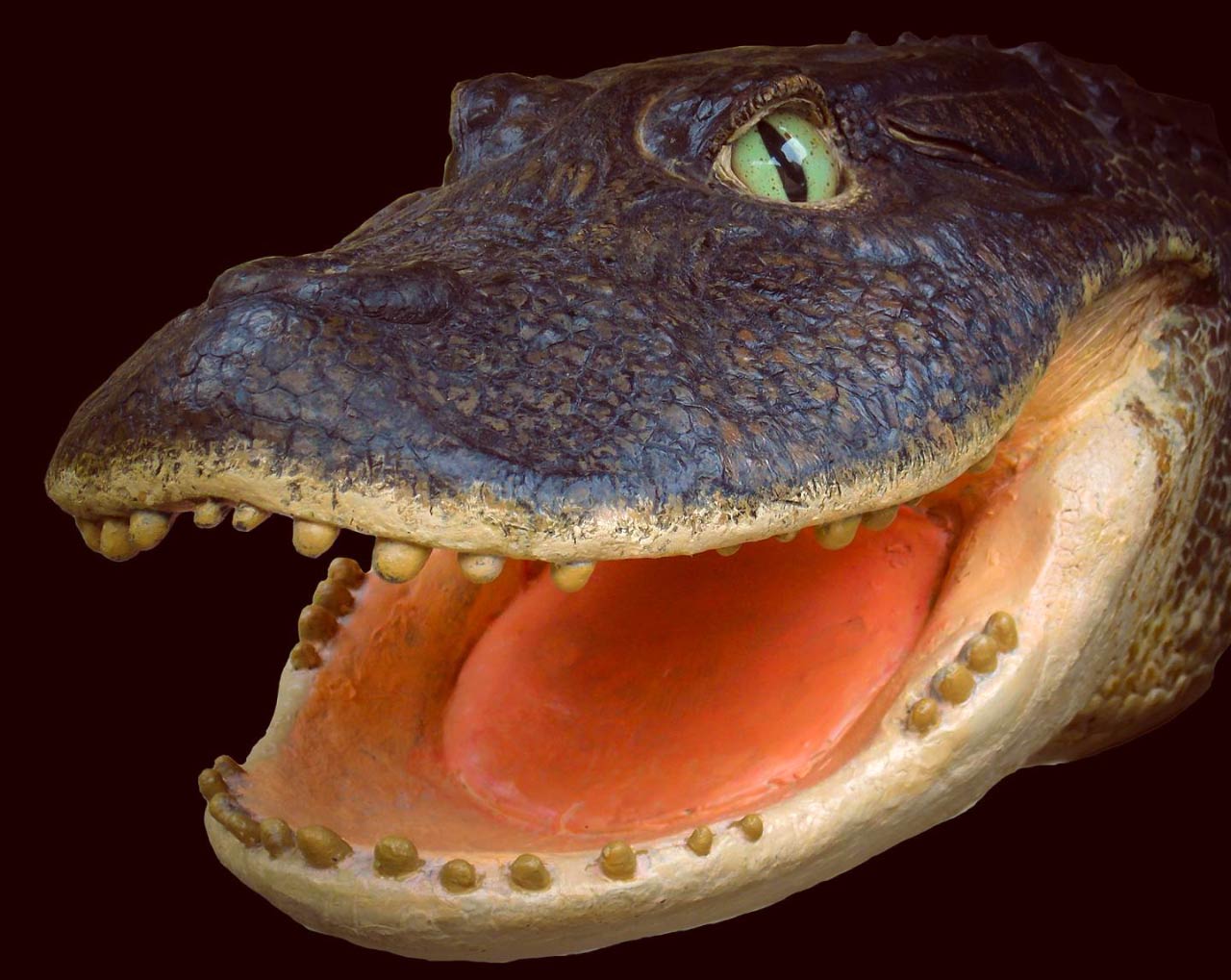 В Перу обнаружено обширное кладбище древнейших крокодилов