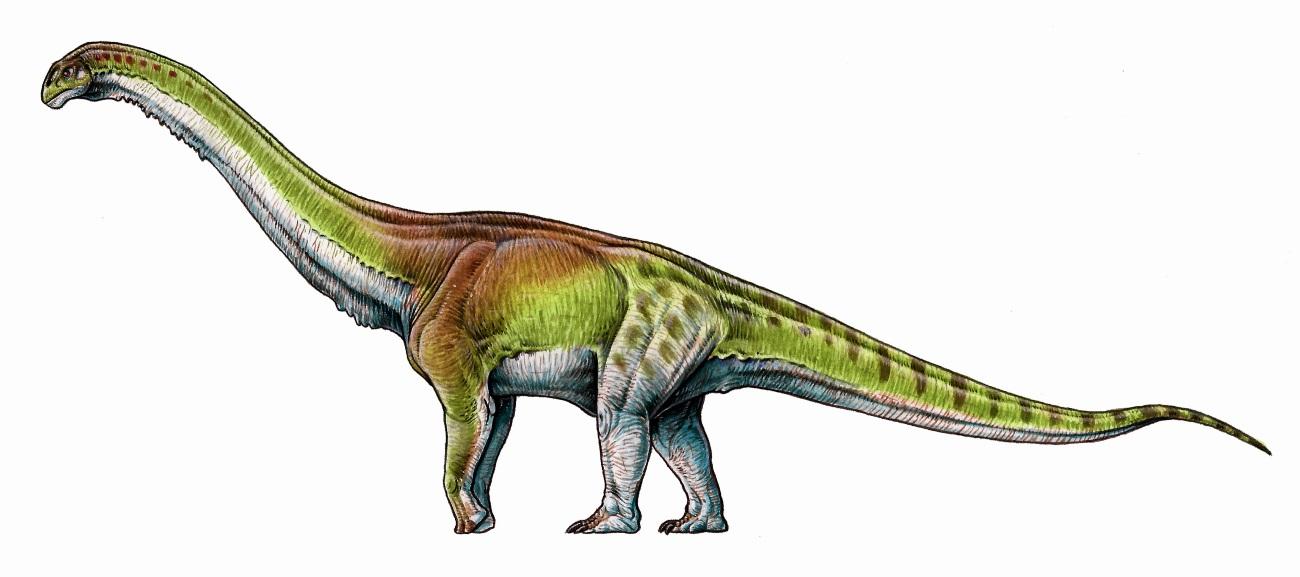 Палеонтологи описали крупнейшего в истории динозавра