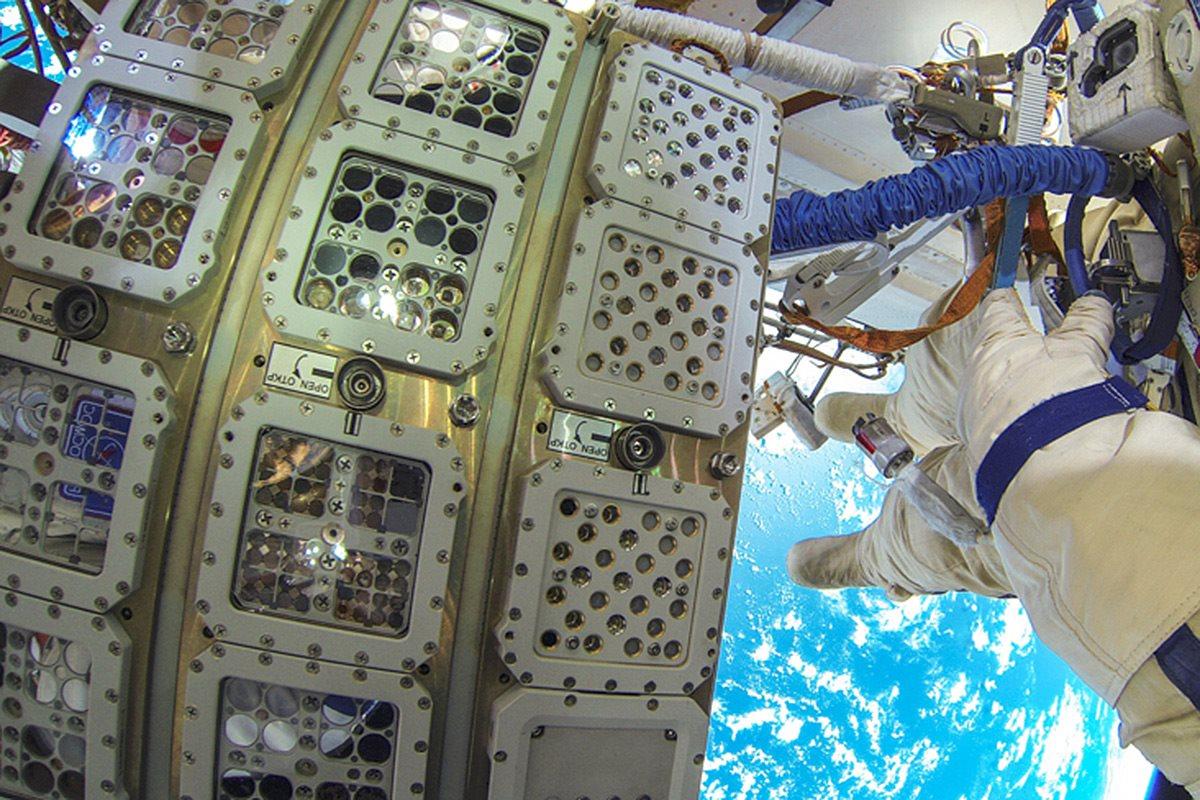 Полярные водоросли выжили после 16 месяцев в открытом космосе