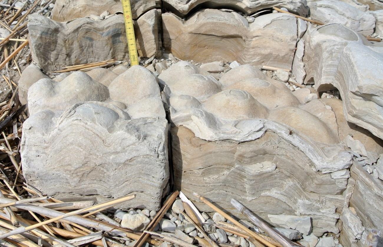 Палеонтологи обнаружили древнейшие окаменелости на Земле