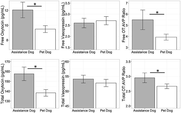 агрессивность собак объяснили высоким уровнем вазопрессина