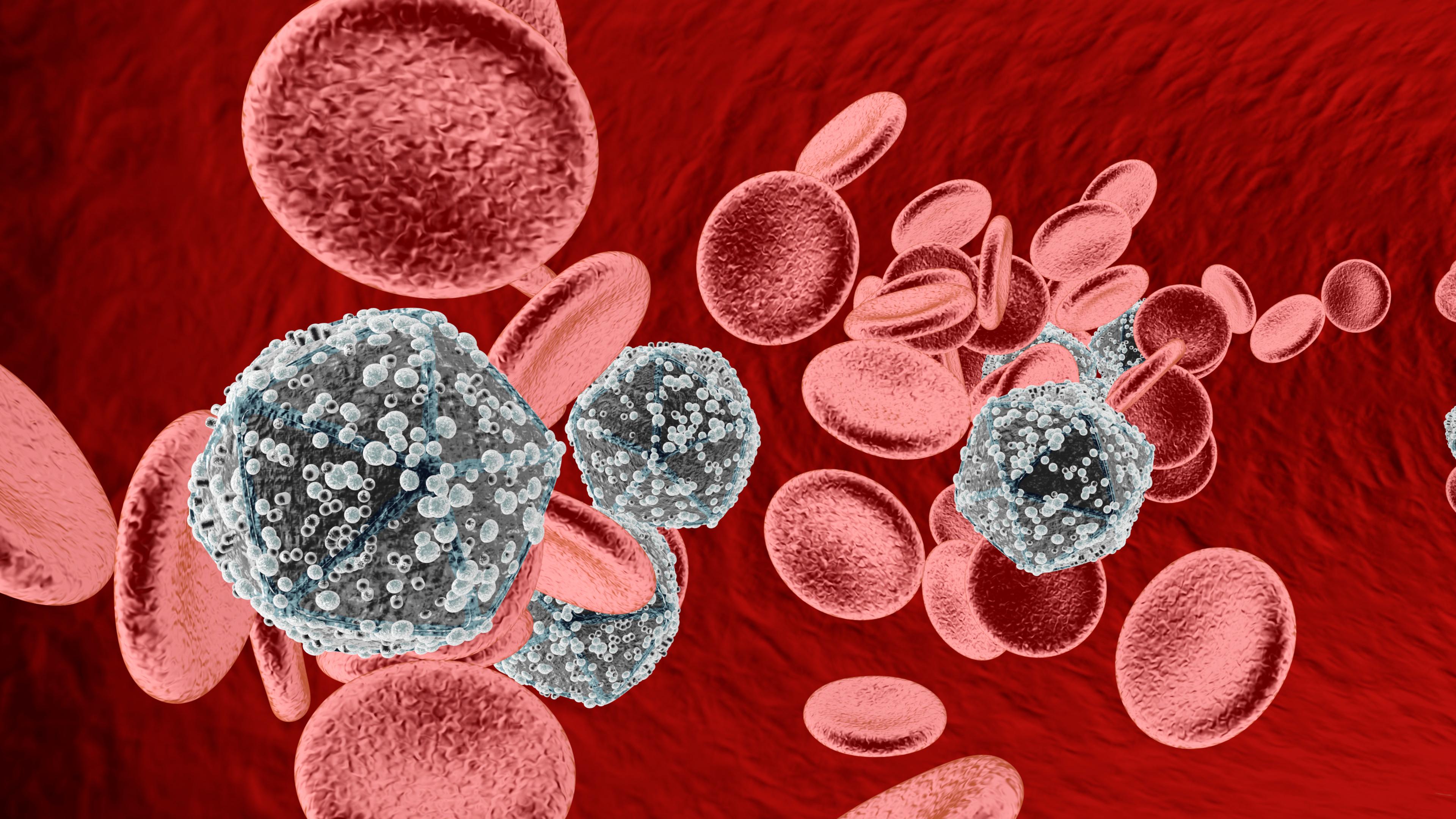 Обнаружено почти универсальное антитело к ВИЧ