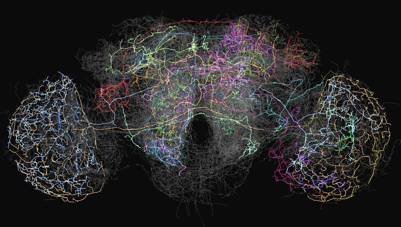 Big network. Нейронная сеть. Нейросеть. Нейросеть искусственный интеллект. Нейроны искусственного интеллекта.