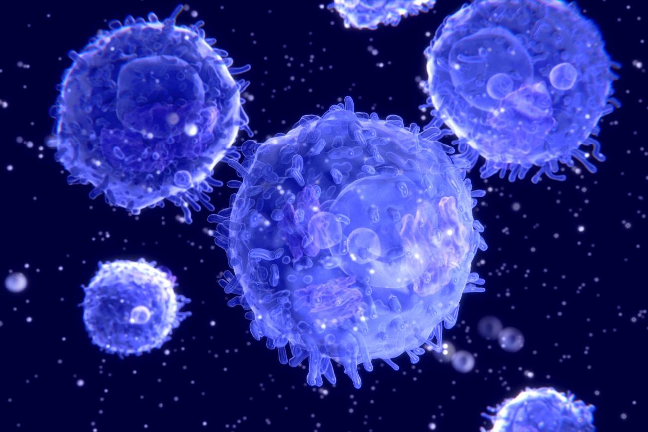 Найдена молекула, заставляющая иммунные клетки эффективнее уничтожать «твёрдый» рак