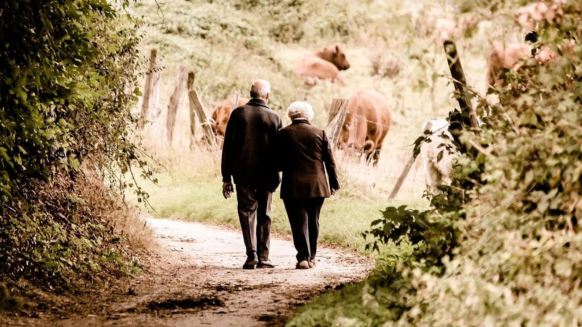 Брак защищает от старческого слабоумия?