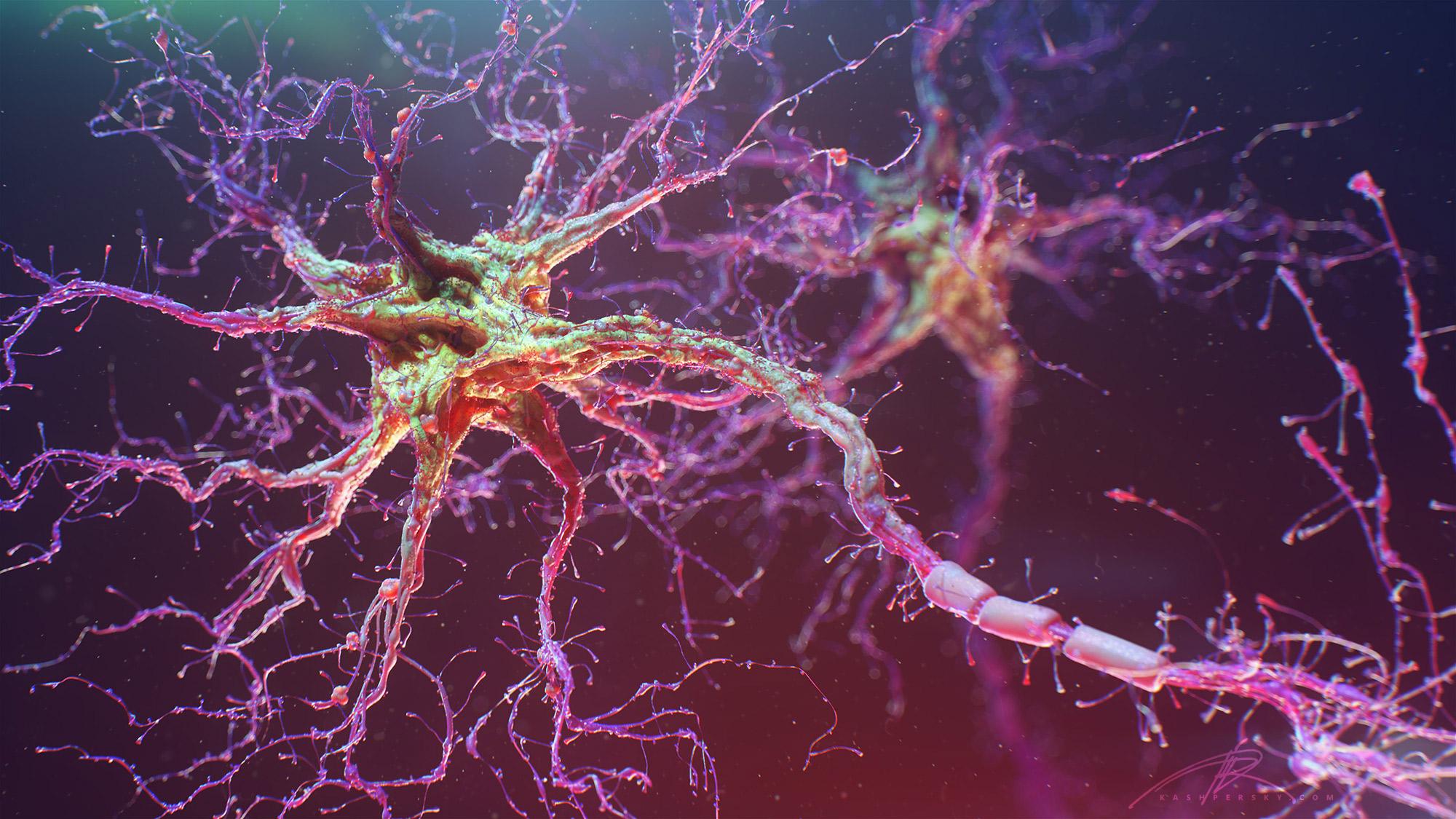 Новый способ восстановления нервных клеток