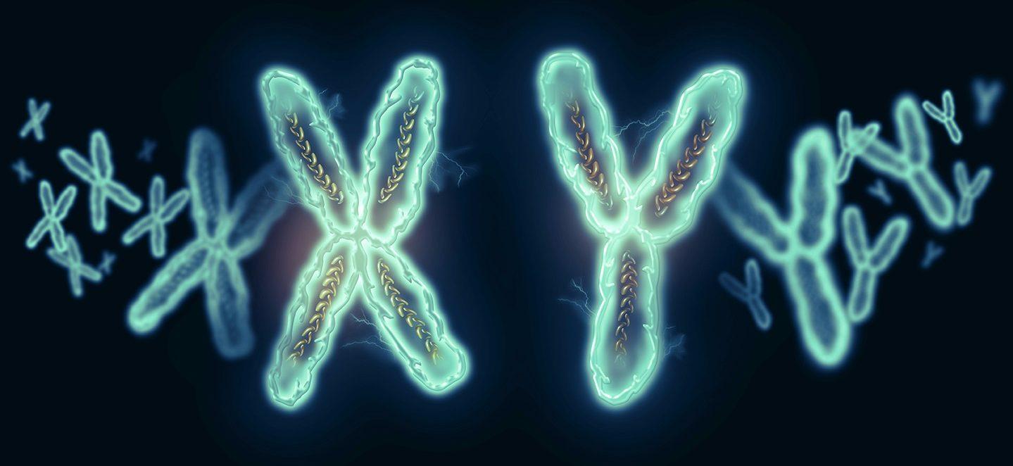 Гены, мутации и тау-белок