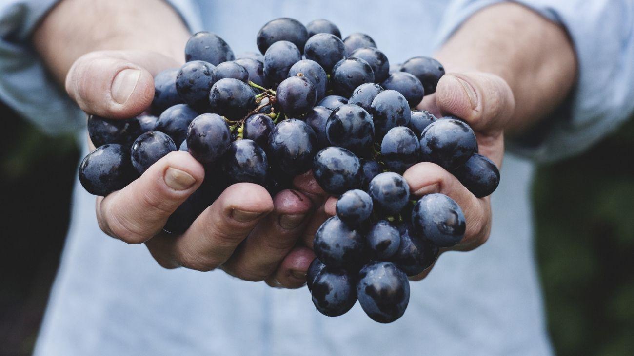 В винограде нашли средство от депрессии