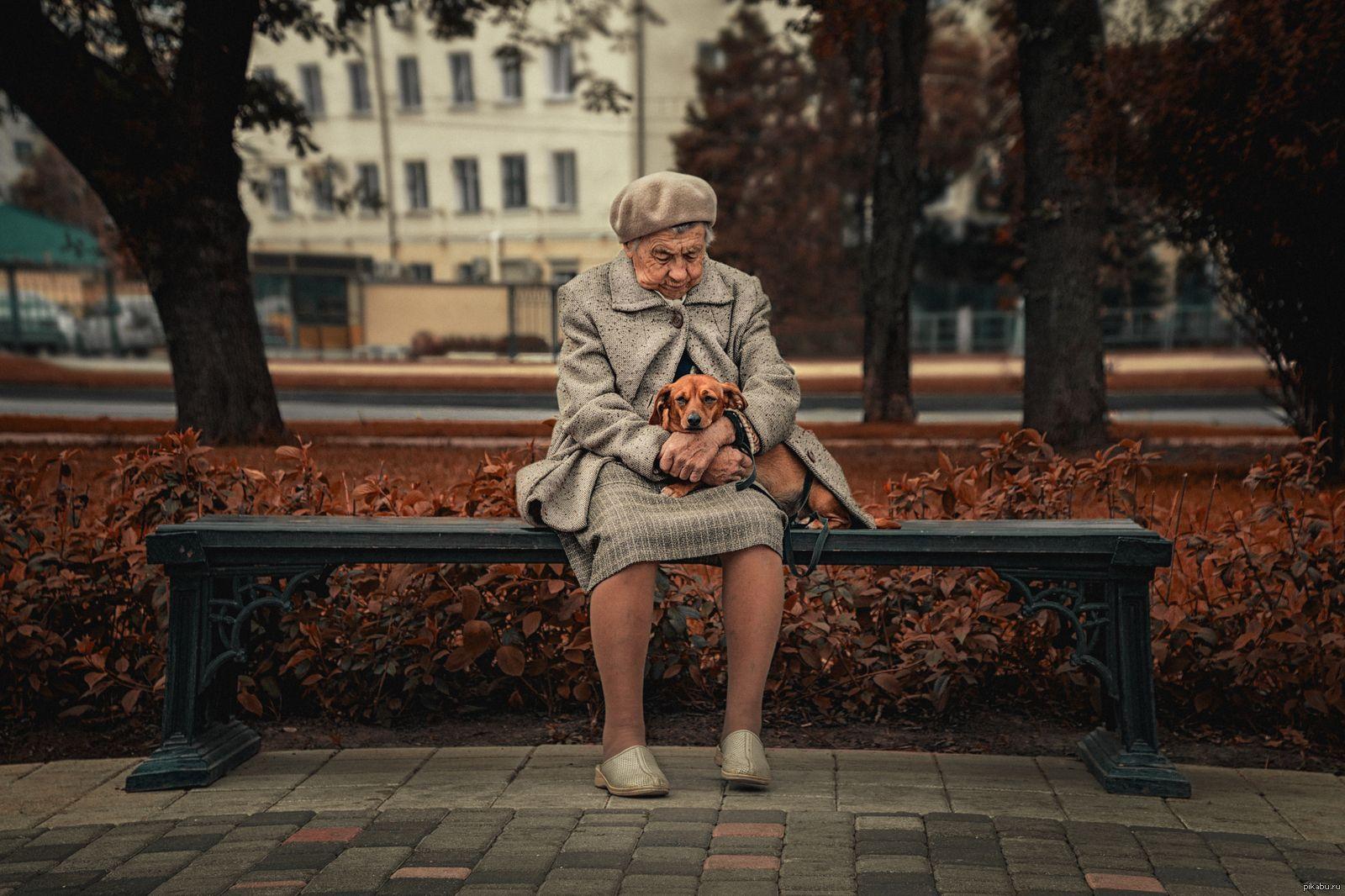 Собаки продлевают жизнь своих хозяев Собаки продлевают жизнь своих хозяев
