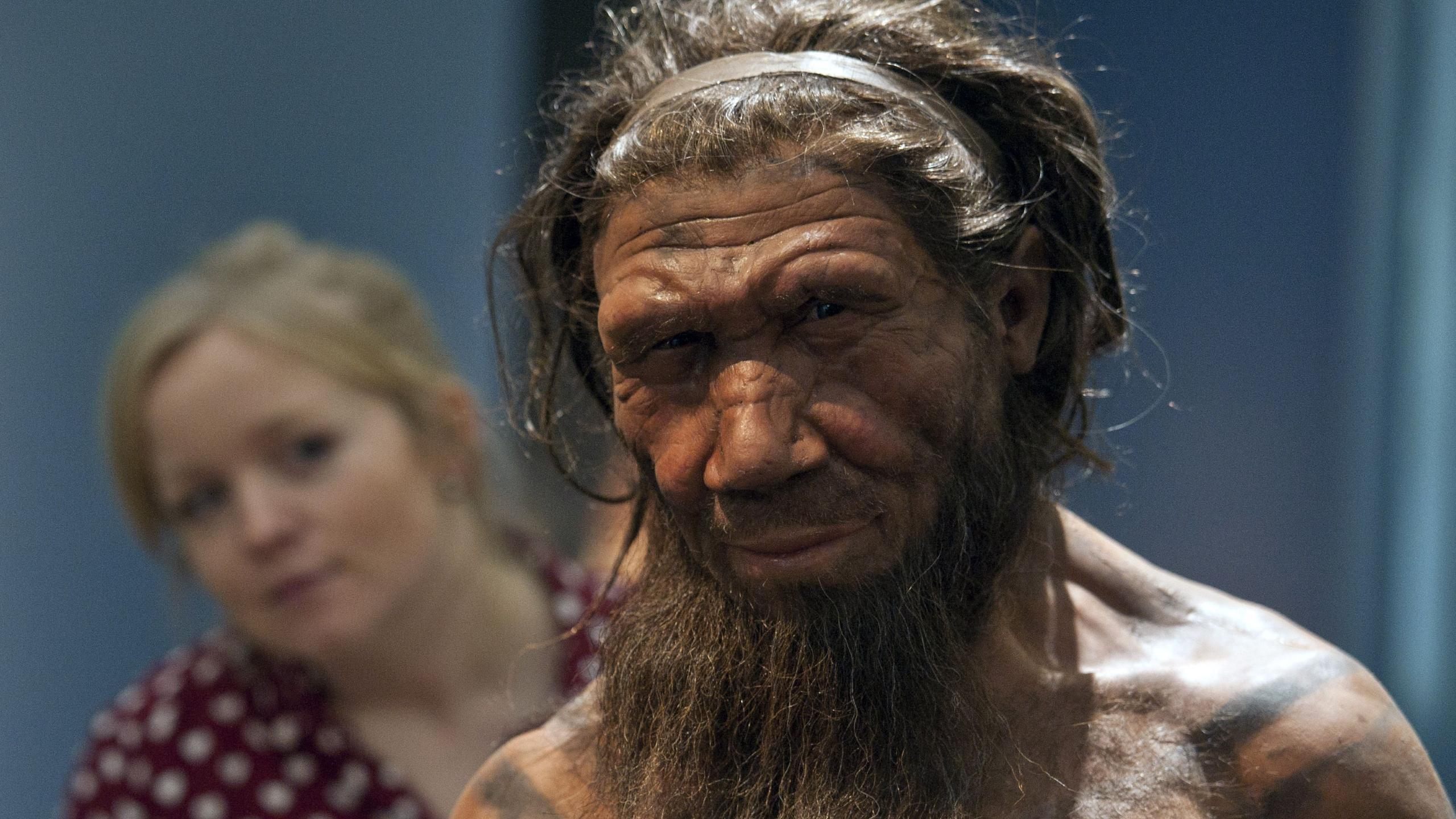 Неандертальцам помогало выживать чувство сострадания