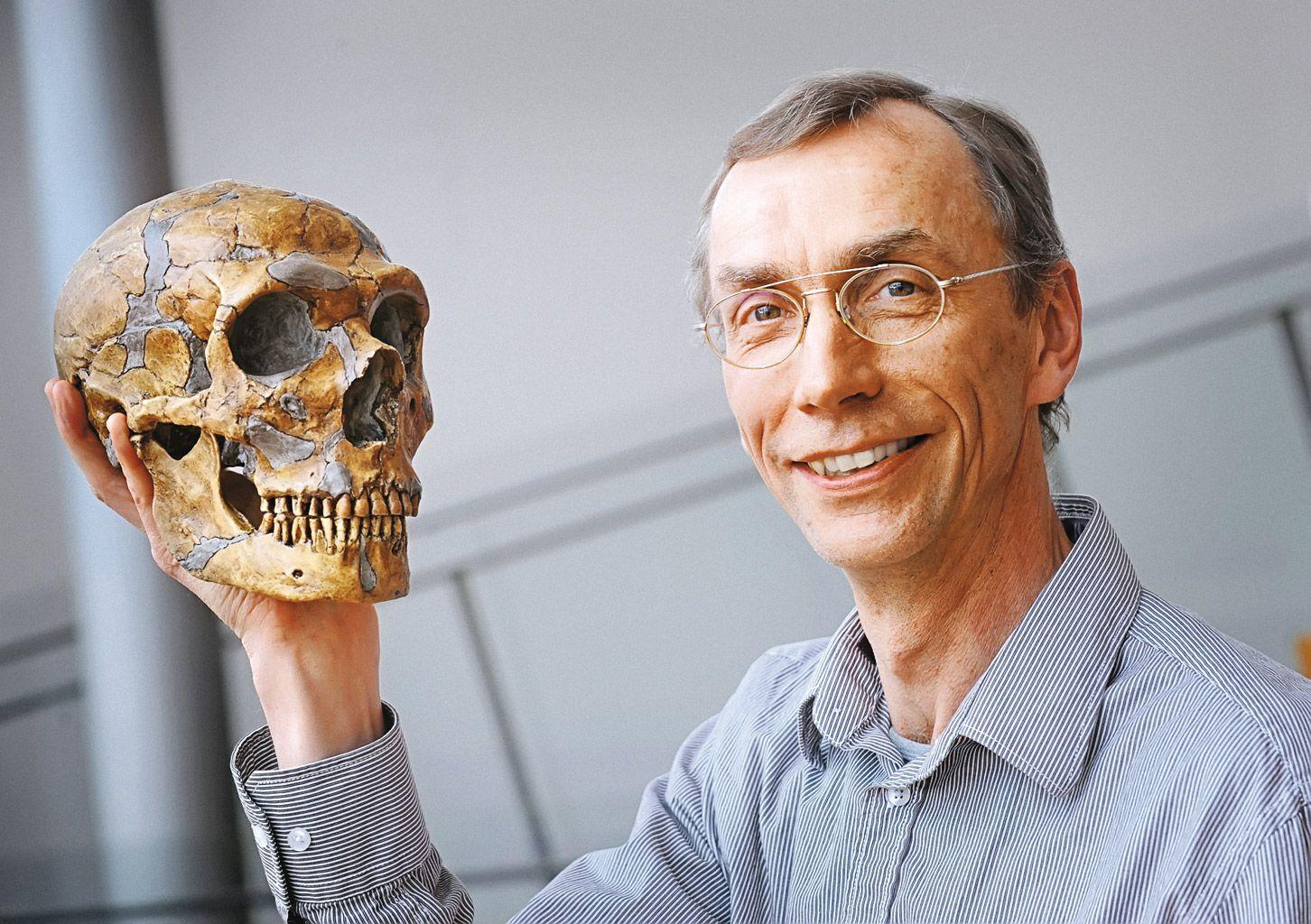 Живые «мини-мозги» неандертальцев расскажут, что делает наш мозг особенным