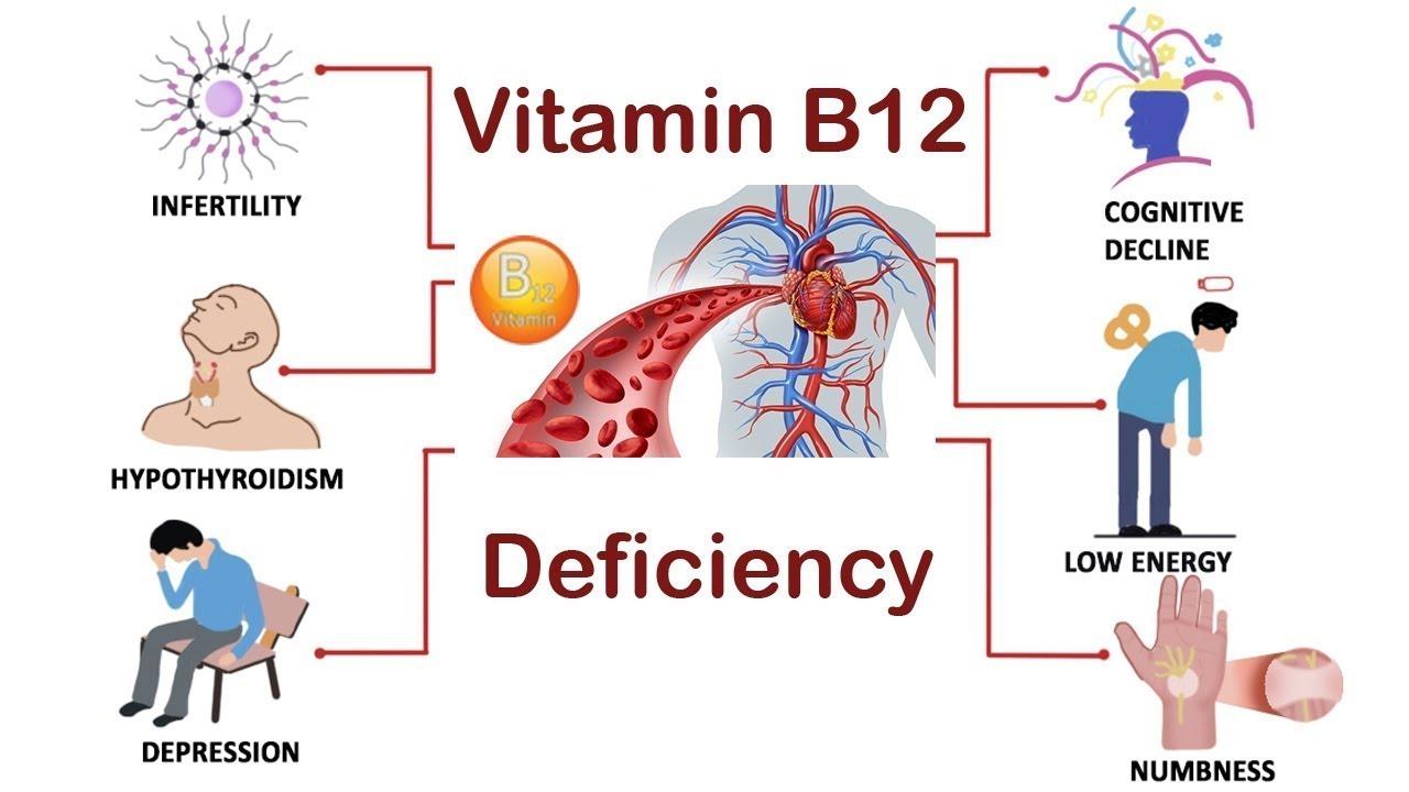 К чему приводит недостаток витамина В12 в организме?