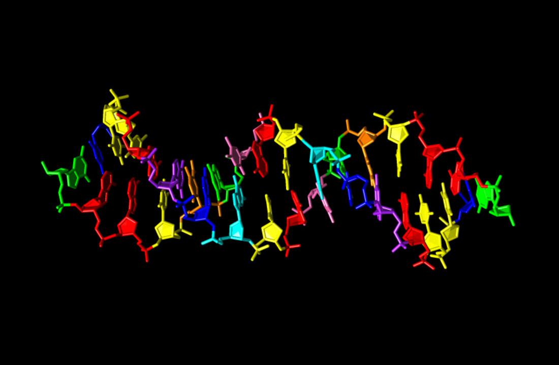 Химики создали транскрибируемую синтетическую ДНК с восьмибуквенным алфавитом