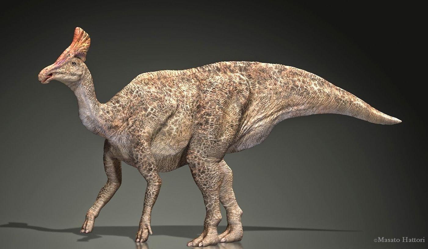 Палеонтологи впервые обнаружили артрит у динозавра