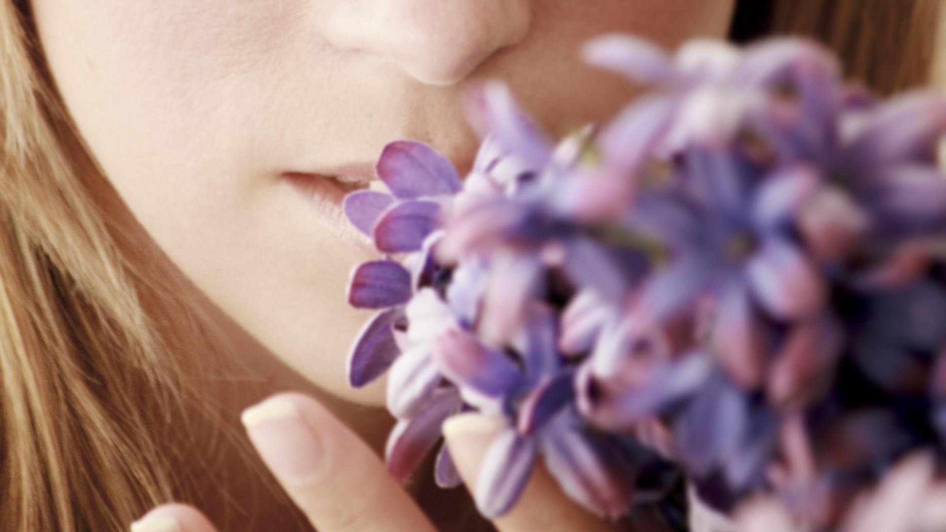 Сколько запахов способен воспринимать человек?