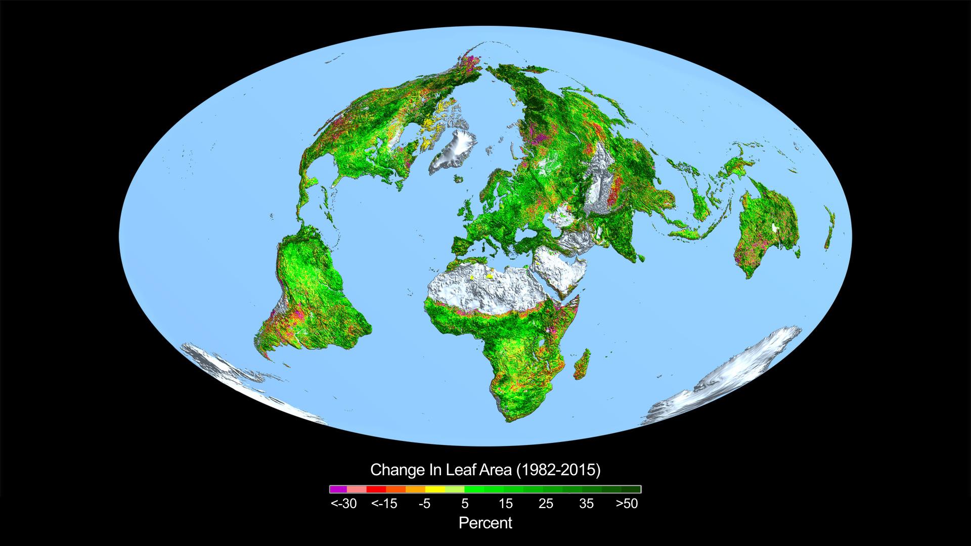 Глобальное озеленение. Чем грозит планете борьба против роста выбросов углекислого газа