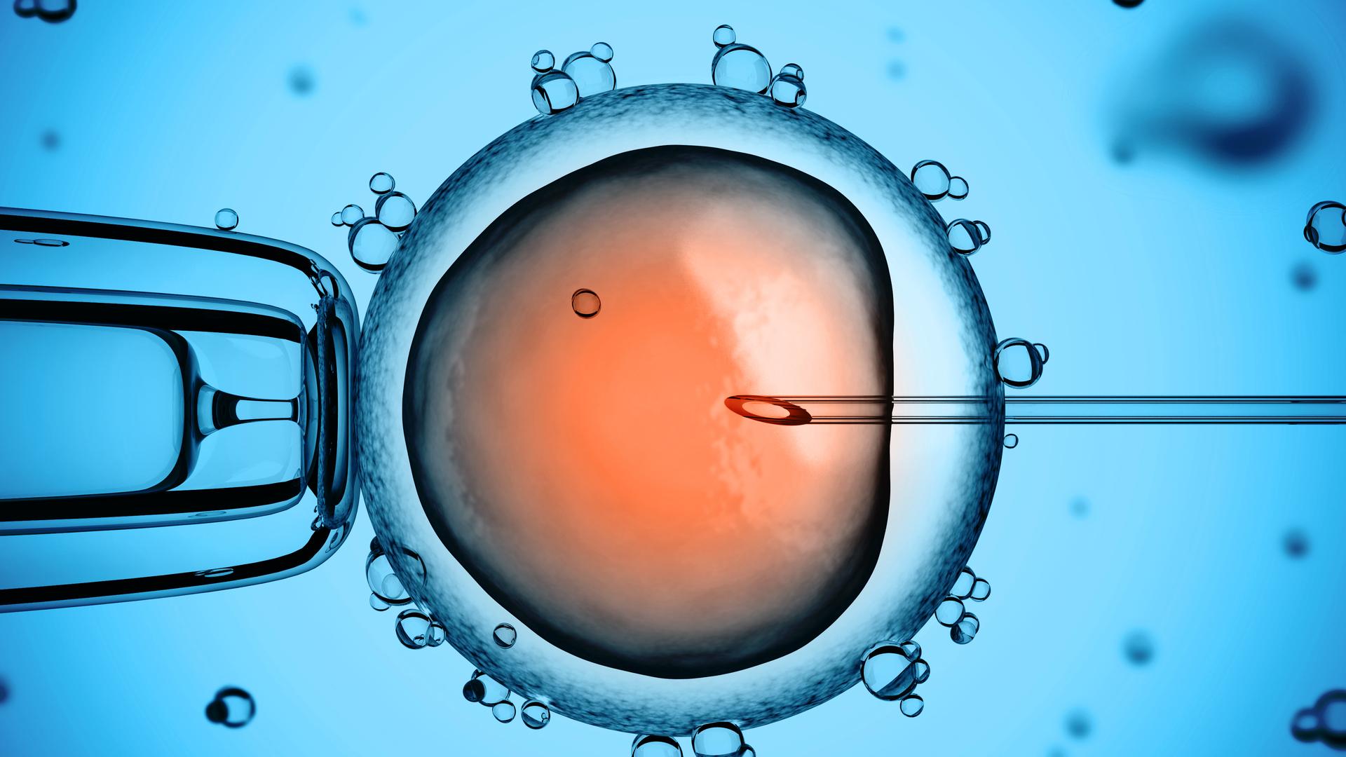 В ДНК младенцев нашли эпигенетические следы репродуктивных технологий
