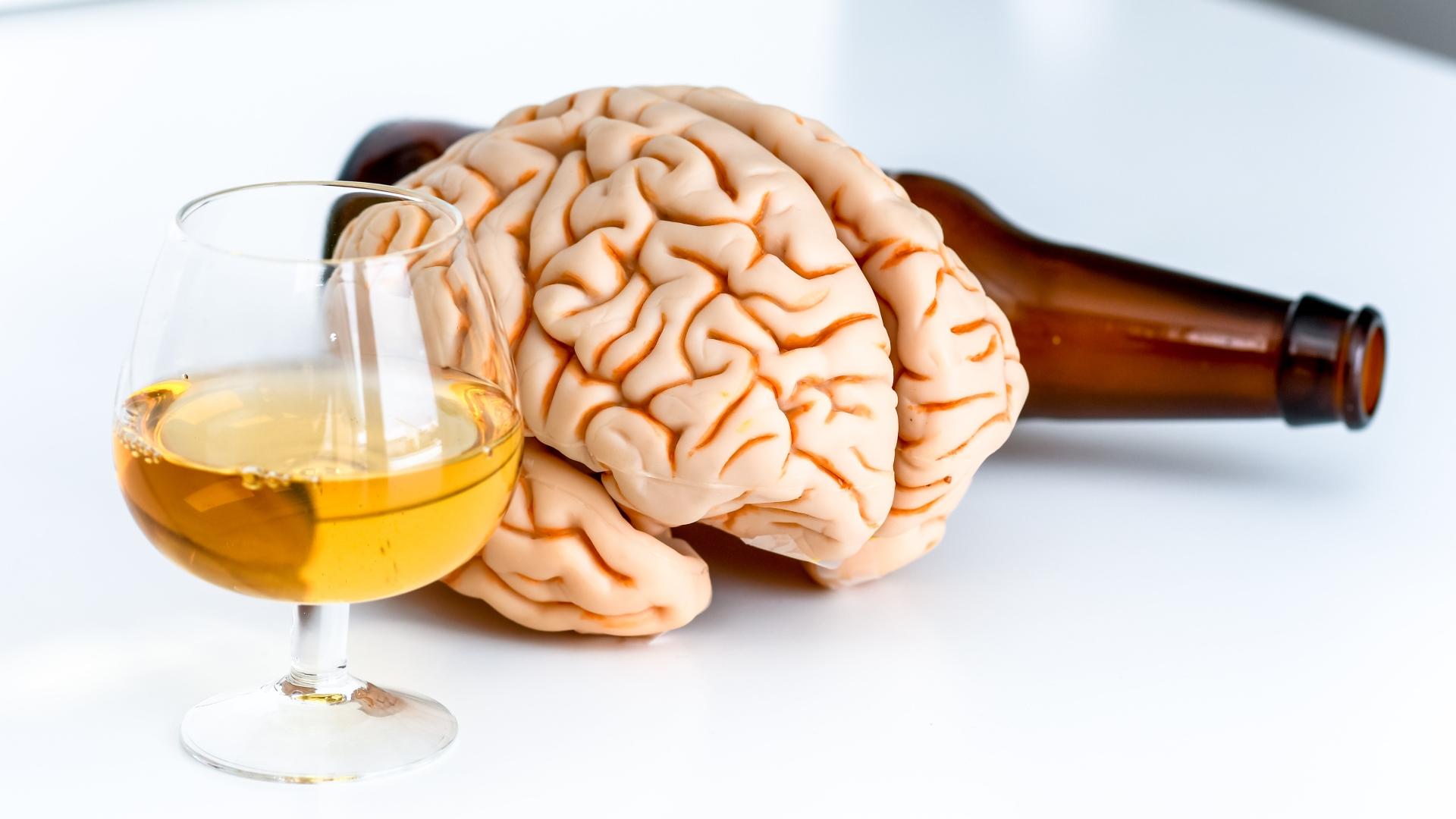 Предрасположенность к алкоголизму и уменьшение мозга: что первично?