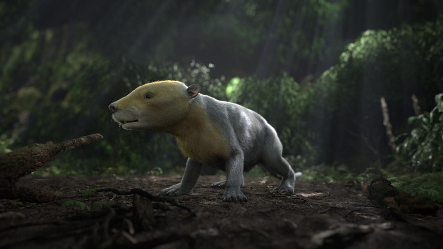 Палеонтологи показали восстановление биоразнообразия после вымирания динозавров
