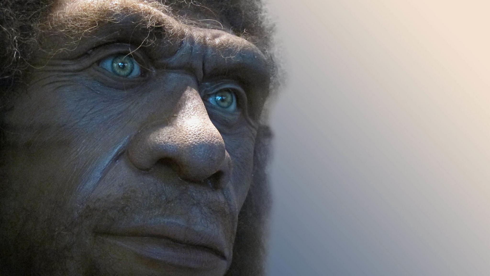 Неандертальцы вымерли от наших болезней?