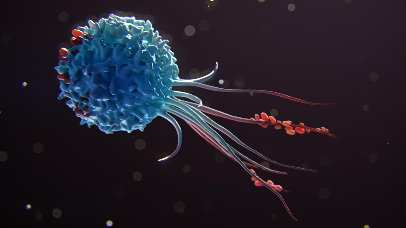 Как умирающие клетки успокаивают иммунитет