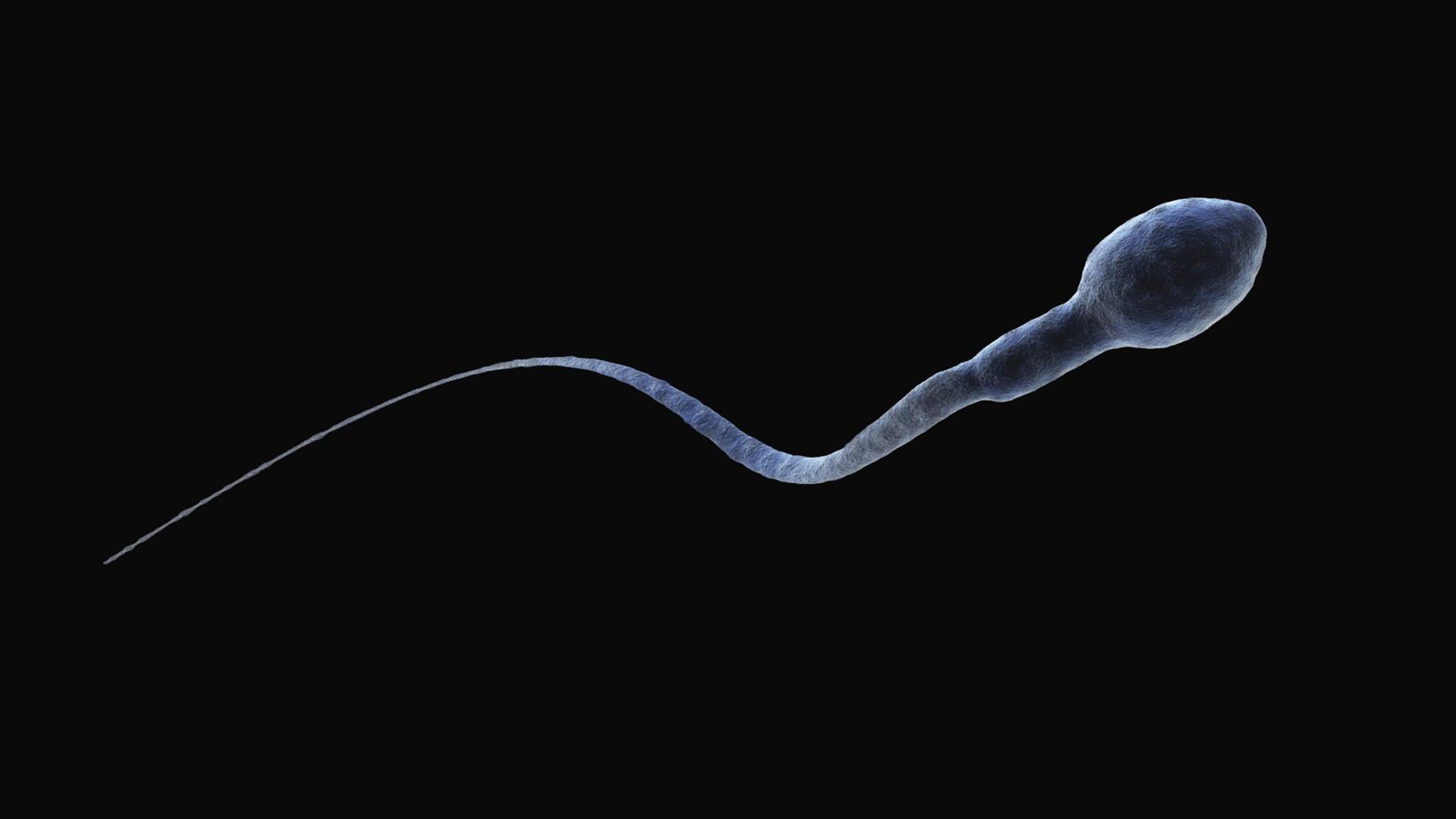 Дефектная сперма: виновен коварный эпигеном