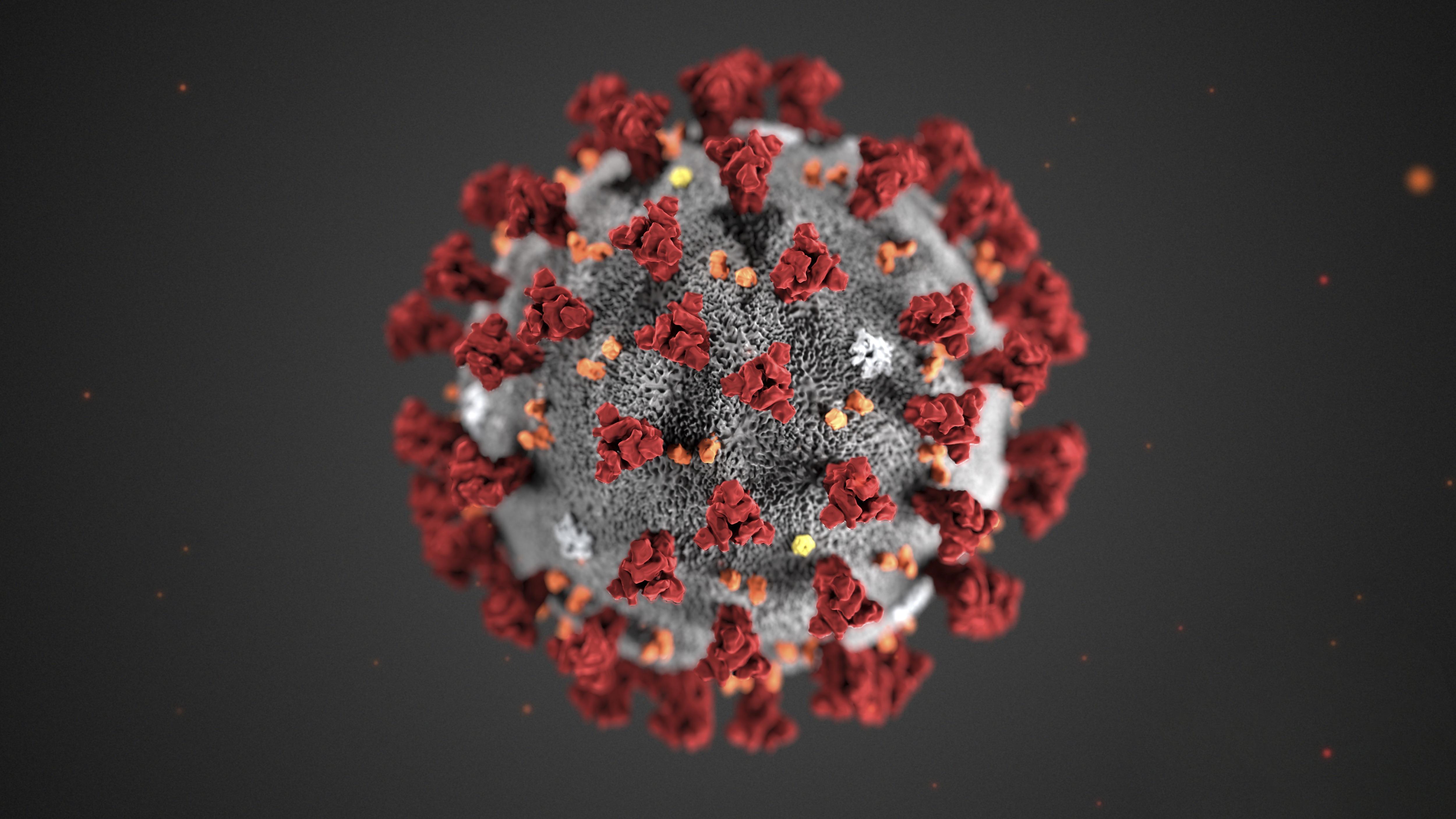 Противогриппозная молекула мешает размножаться коронавирусам