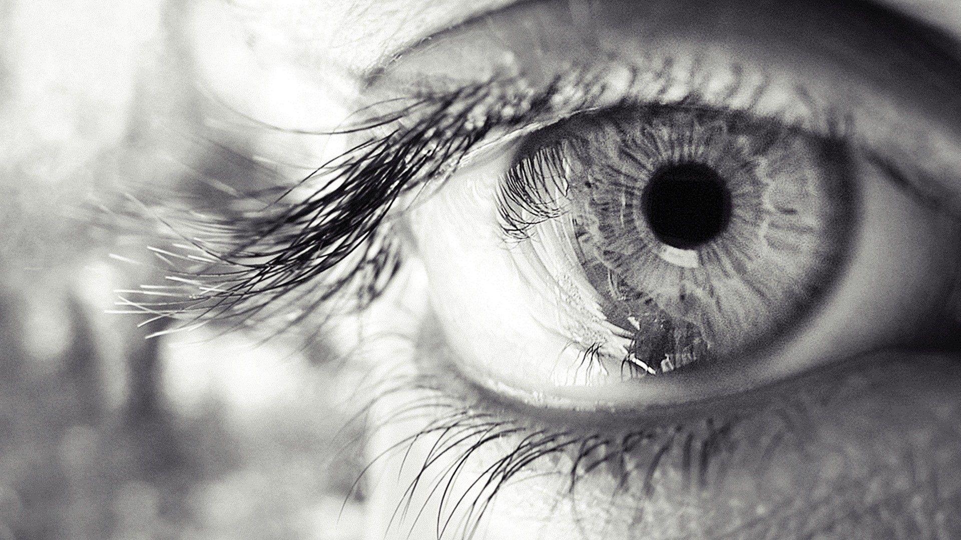 Псевдолимфатическая система выводит мусор из глаз