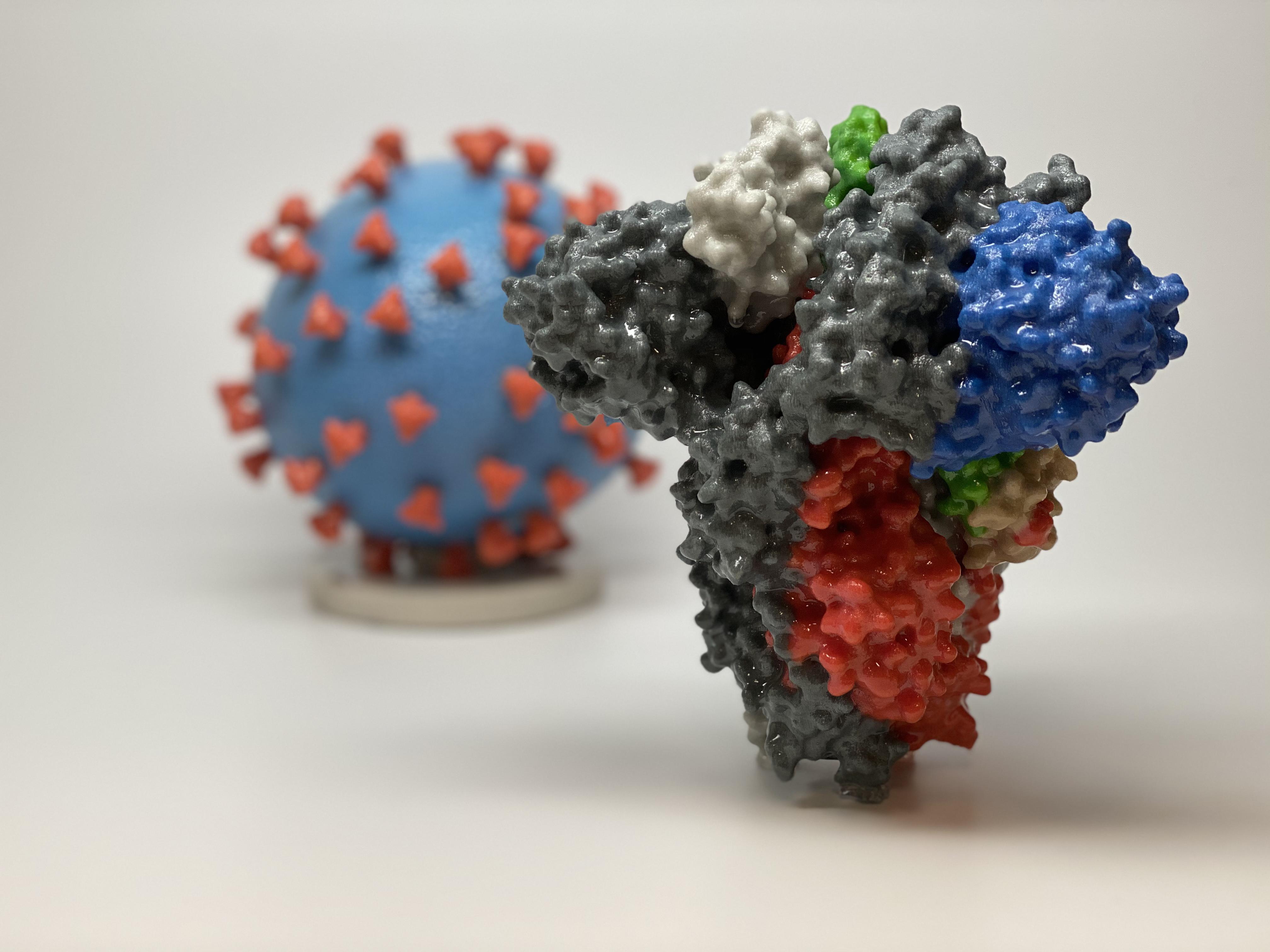 «Тройное заражение»: как страхи влияют на распространение коронавируса