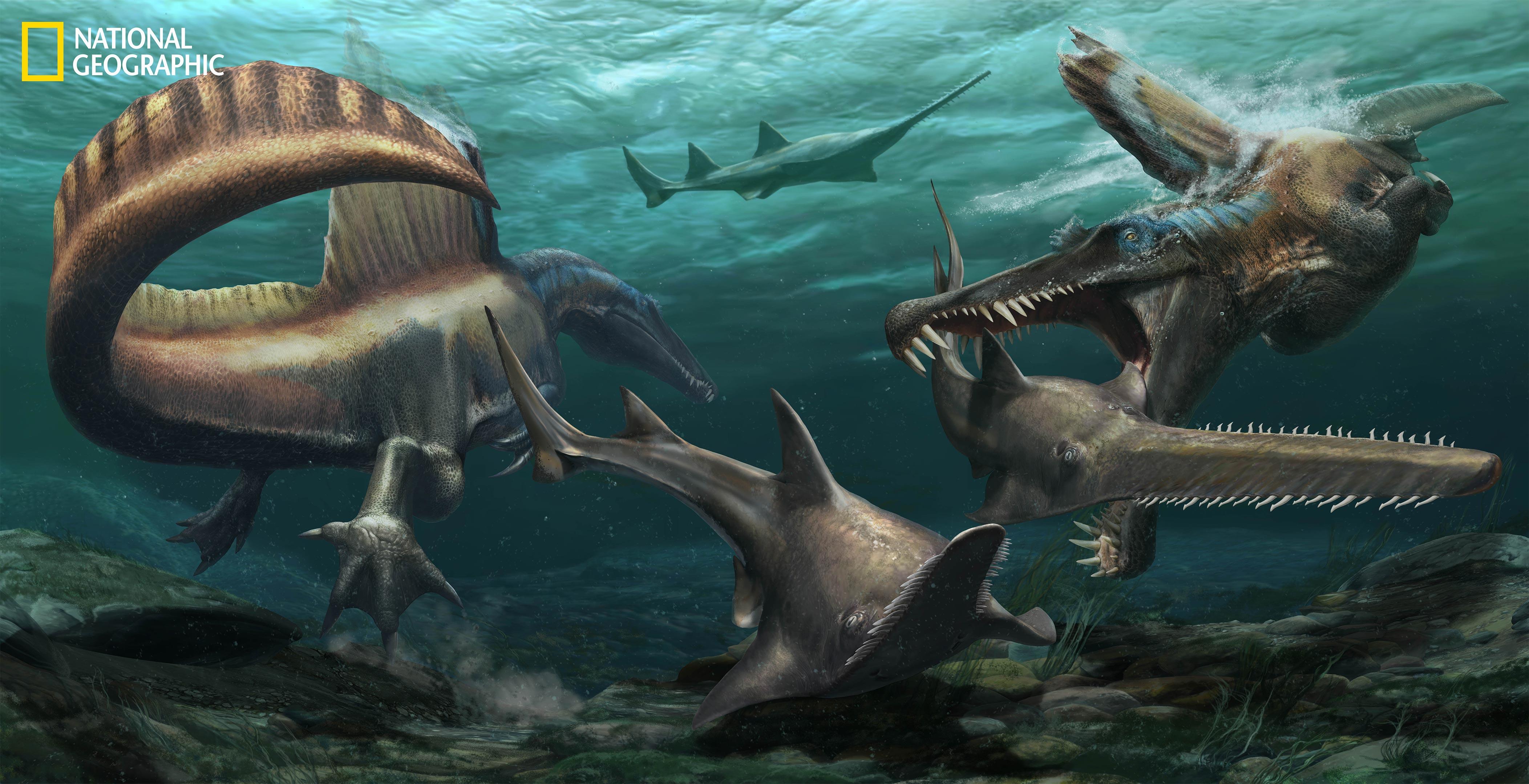 Уникальная находка подтвердила существование плававших хищных динозавров