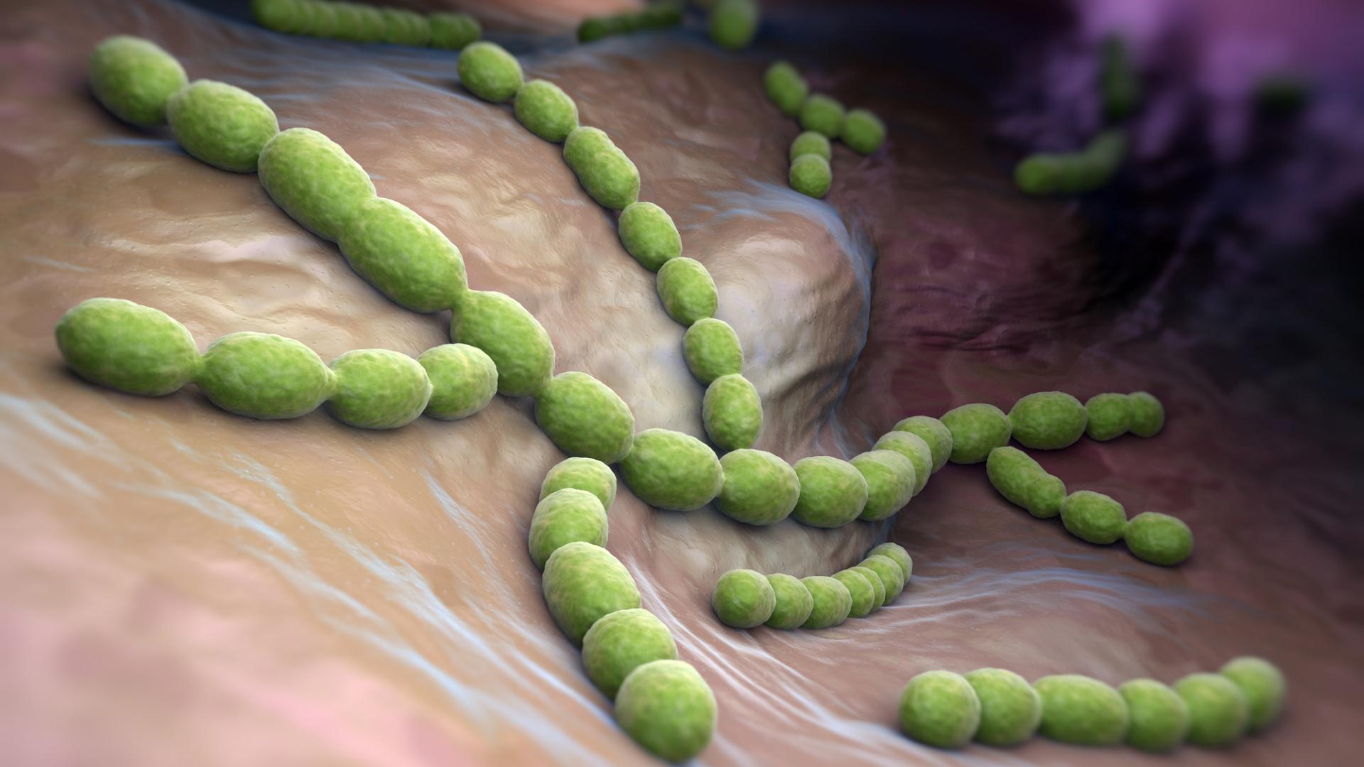 Состав микробиоты лёгких может быть связан с тяжестью протекания COVID-19