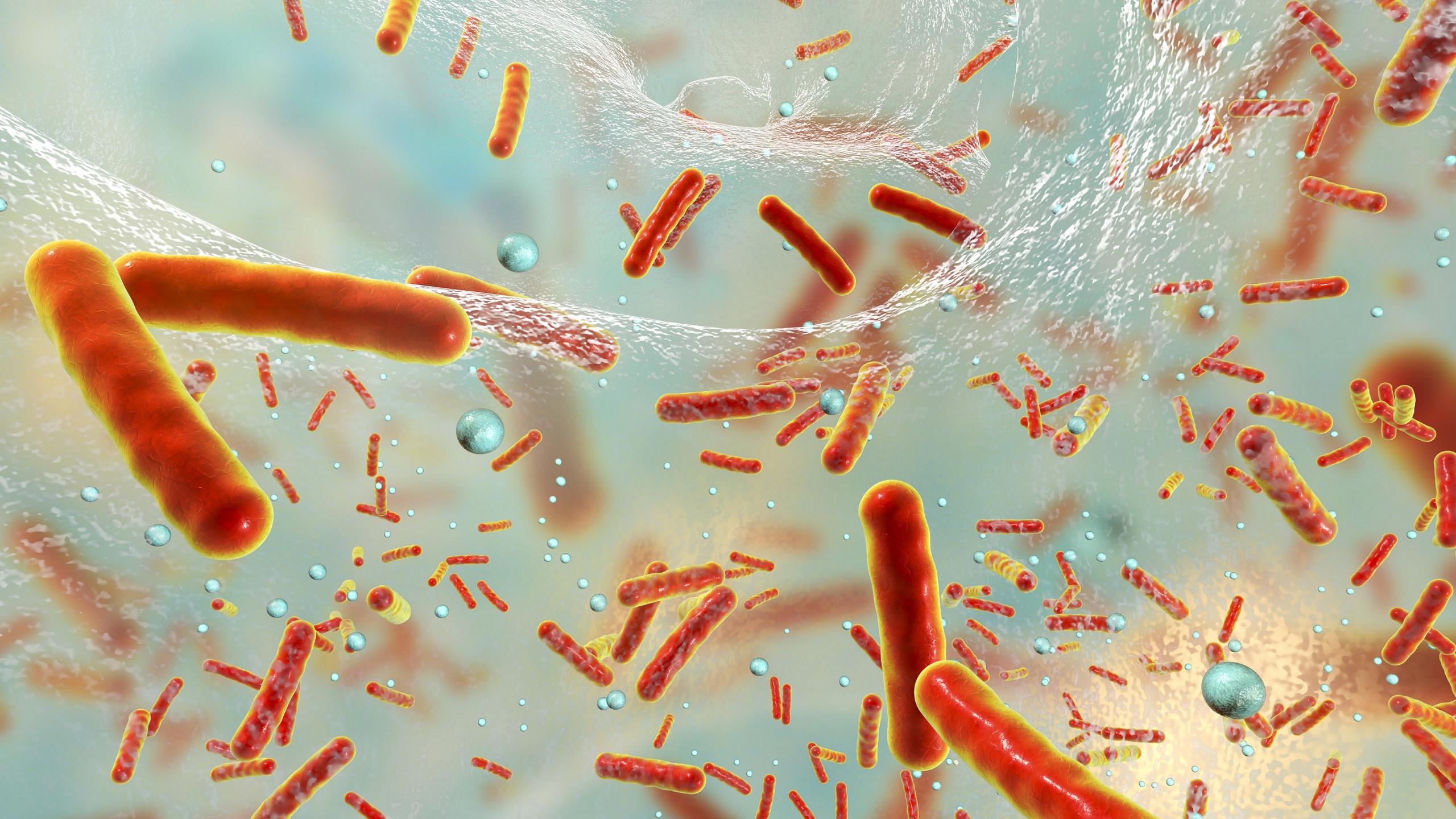 Биологи нашли «тайный ход» внутрь бактериальных биопленок