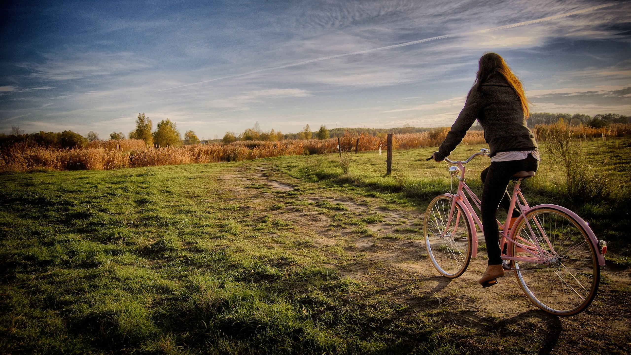 Короткая поездка на велосипеде помогает мышцам очиститься