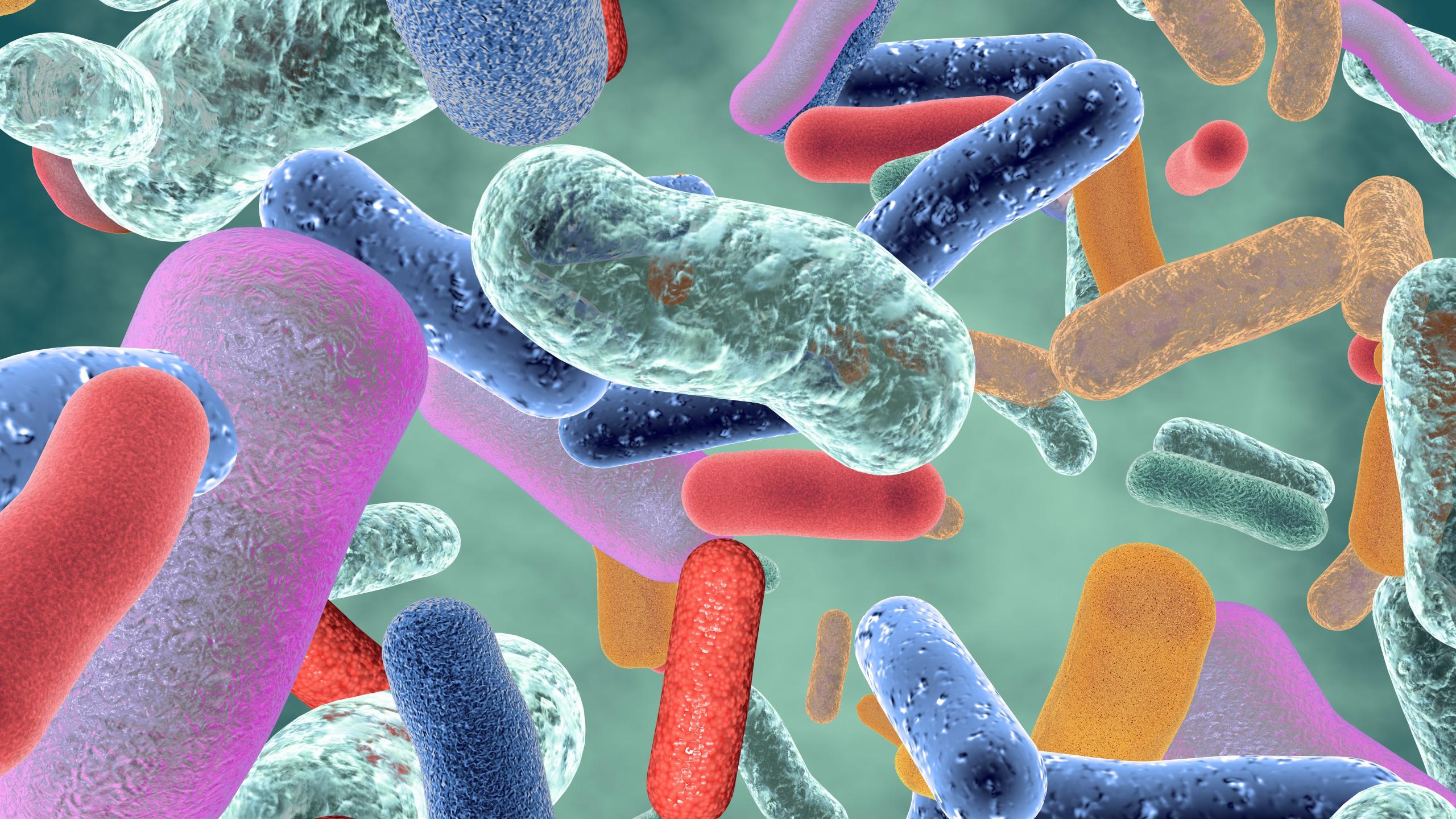 Микроорганизмы способные вызывать заболевания. Бактерии микробиота кишечника. Микробиота кишечника микробиология. Патоген бактерия. Патогенные микробы микробиология.